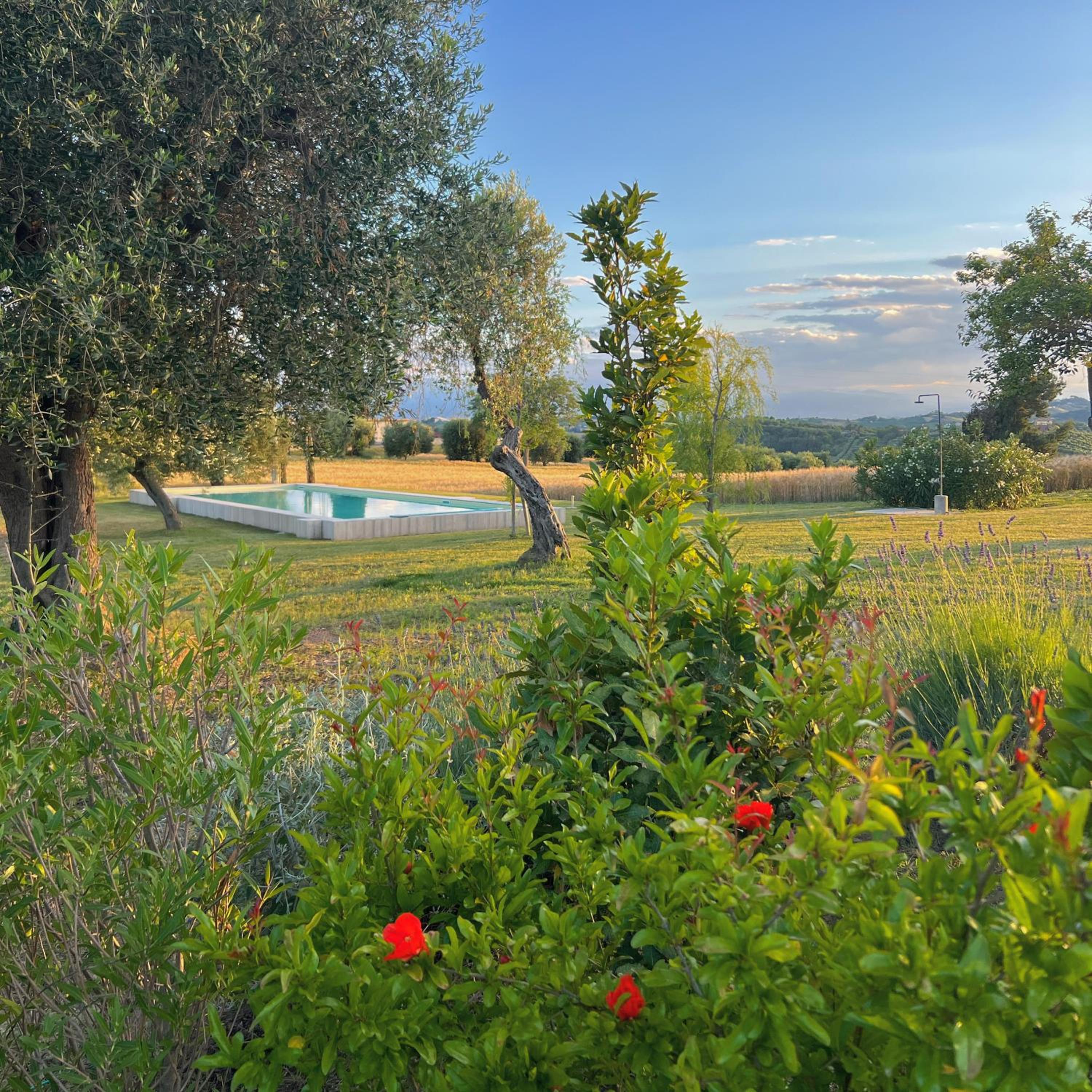 La Buona Maniera view 3