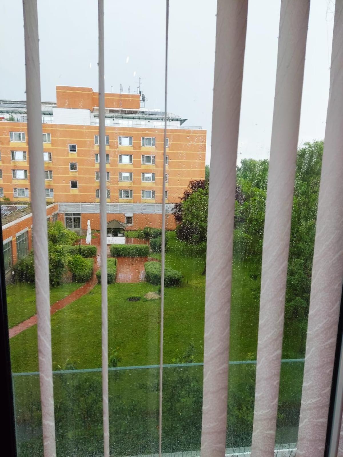 Ruhiges Zimmer in guter Lage in Wien