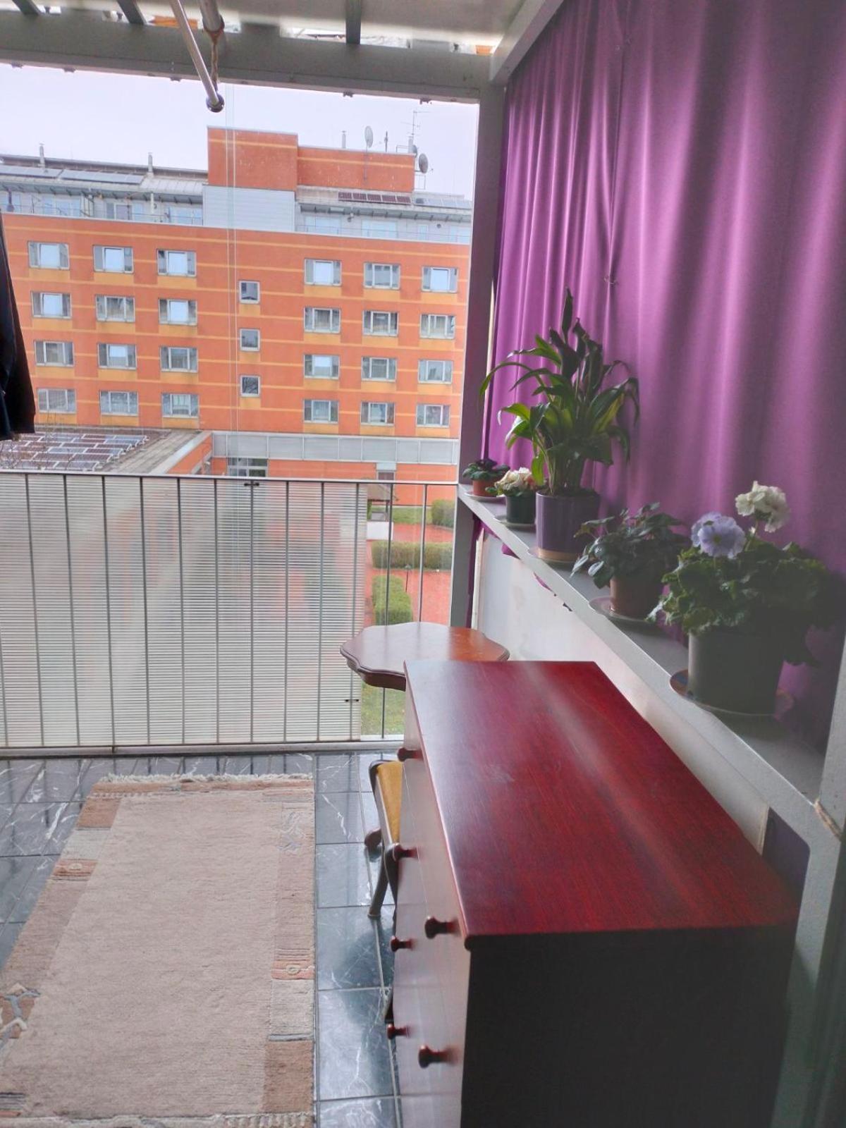 Ruhiges Zimmer in guter Lage in Wien