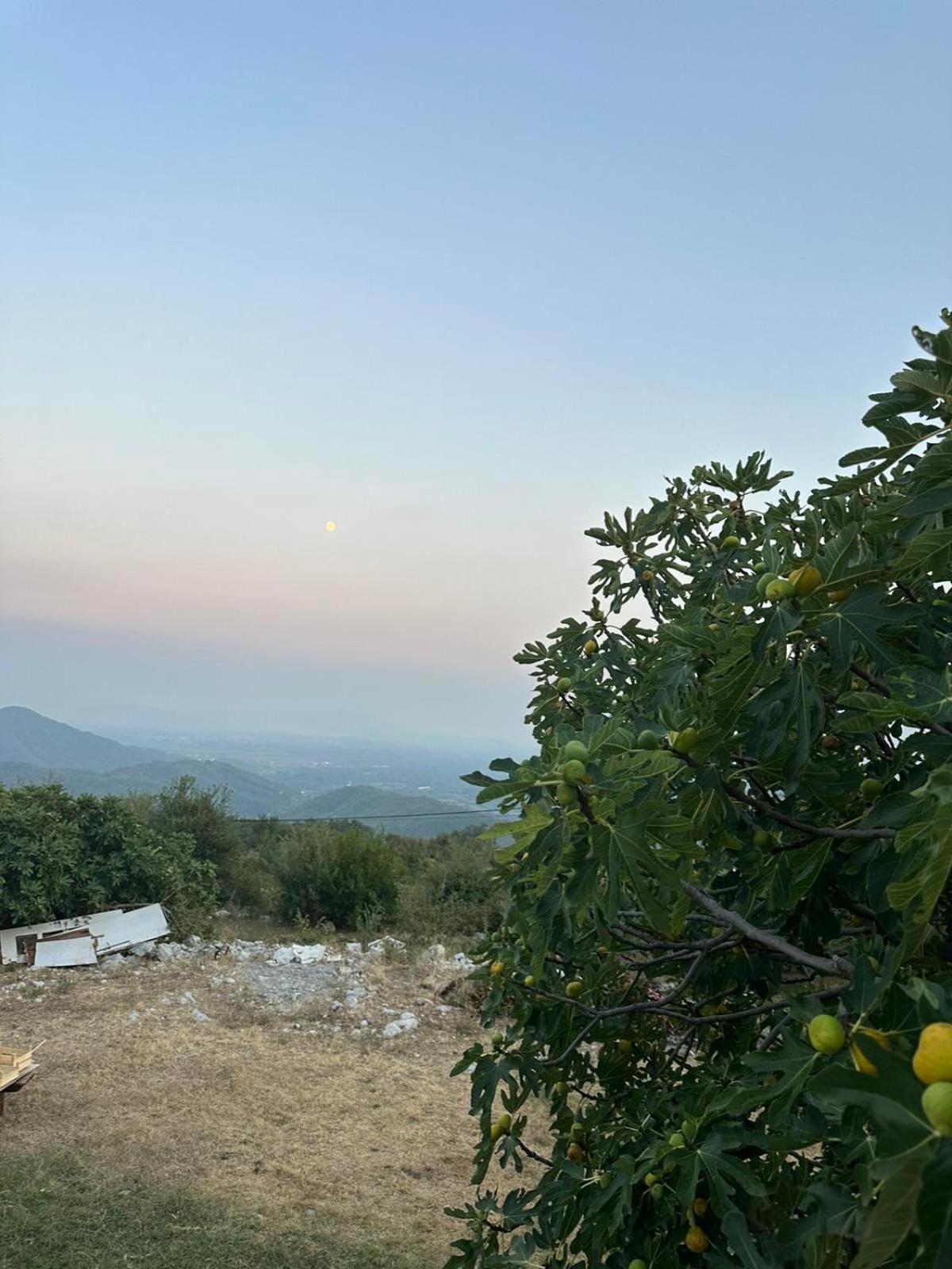 VILA Mersi