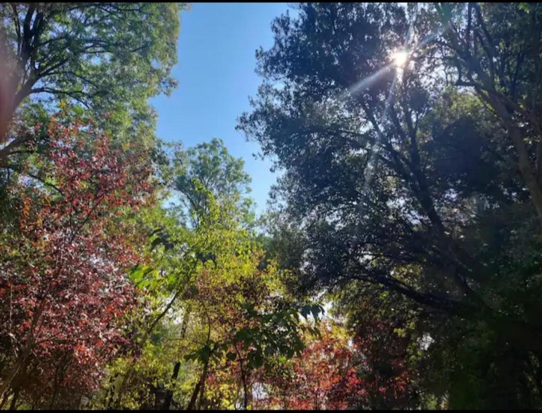 Luxury apartment - near of the Tirana Lake Park photo 3