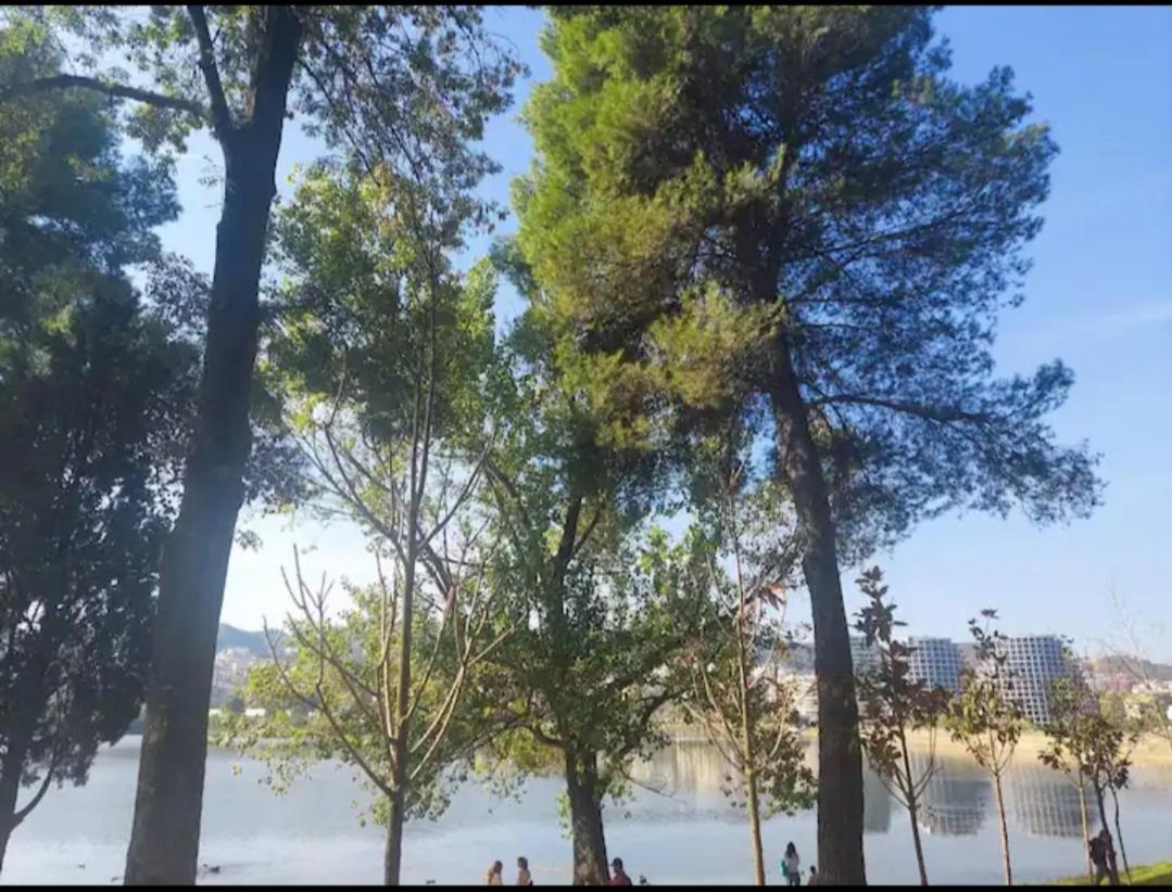 Luxury apartment - near of the Tirana Lake Park photo 4