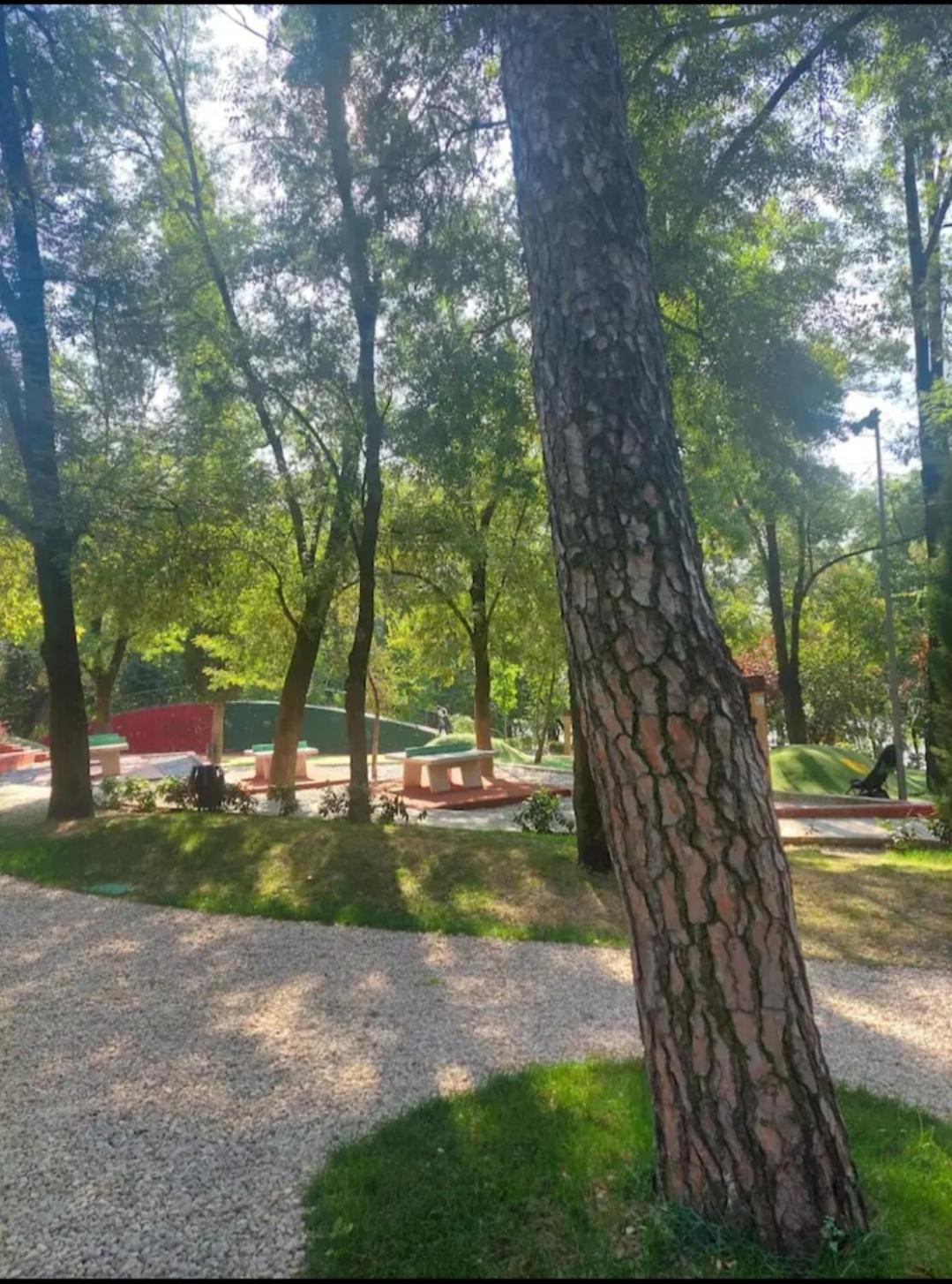 Luxury apartment - near of the Tirana Lake Park photo 5