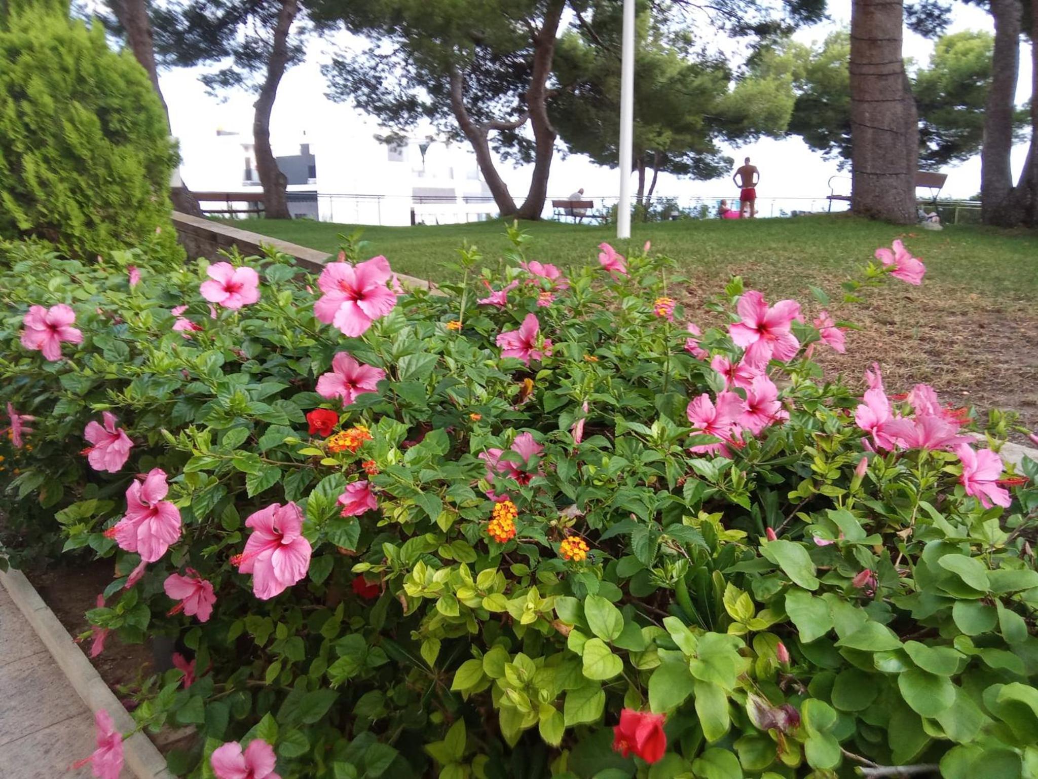 Photo 24