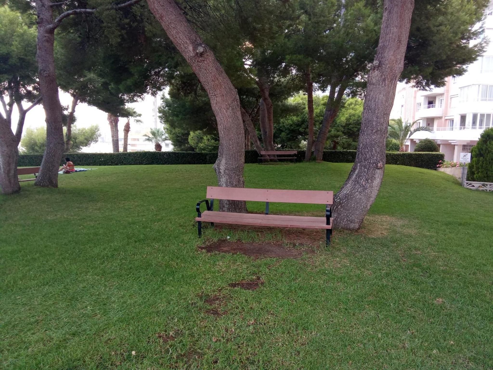 Photo 26