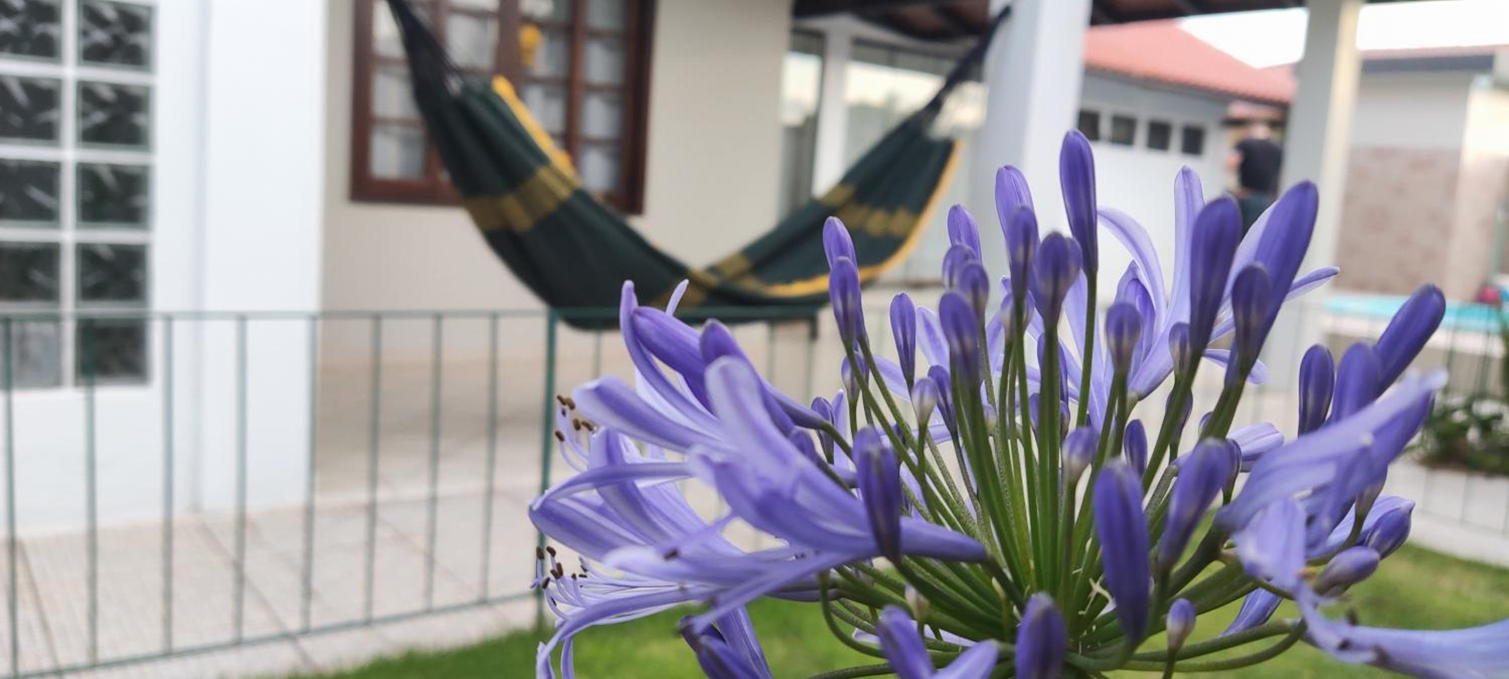 Casa de praia com piscina na praia da Daniela em Florianópolis