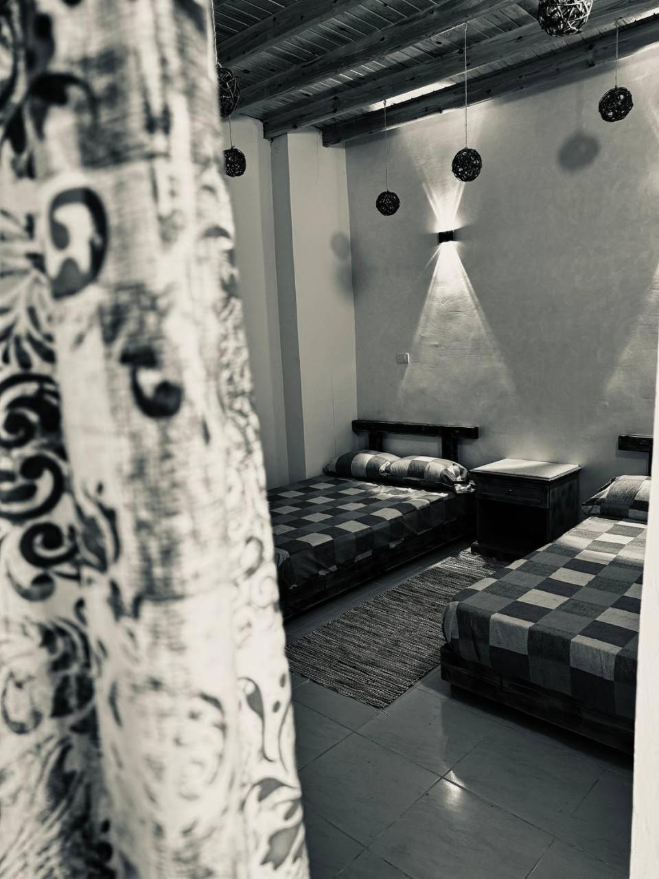 Joanna Camp
