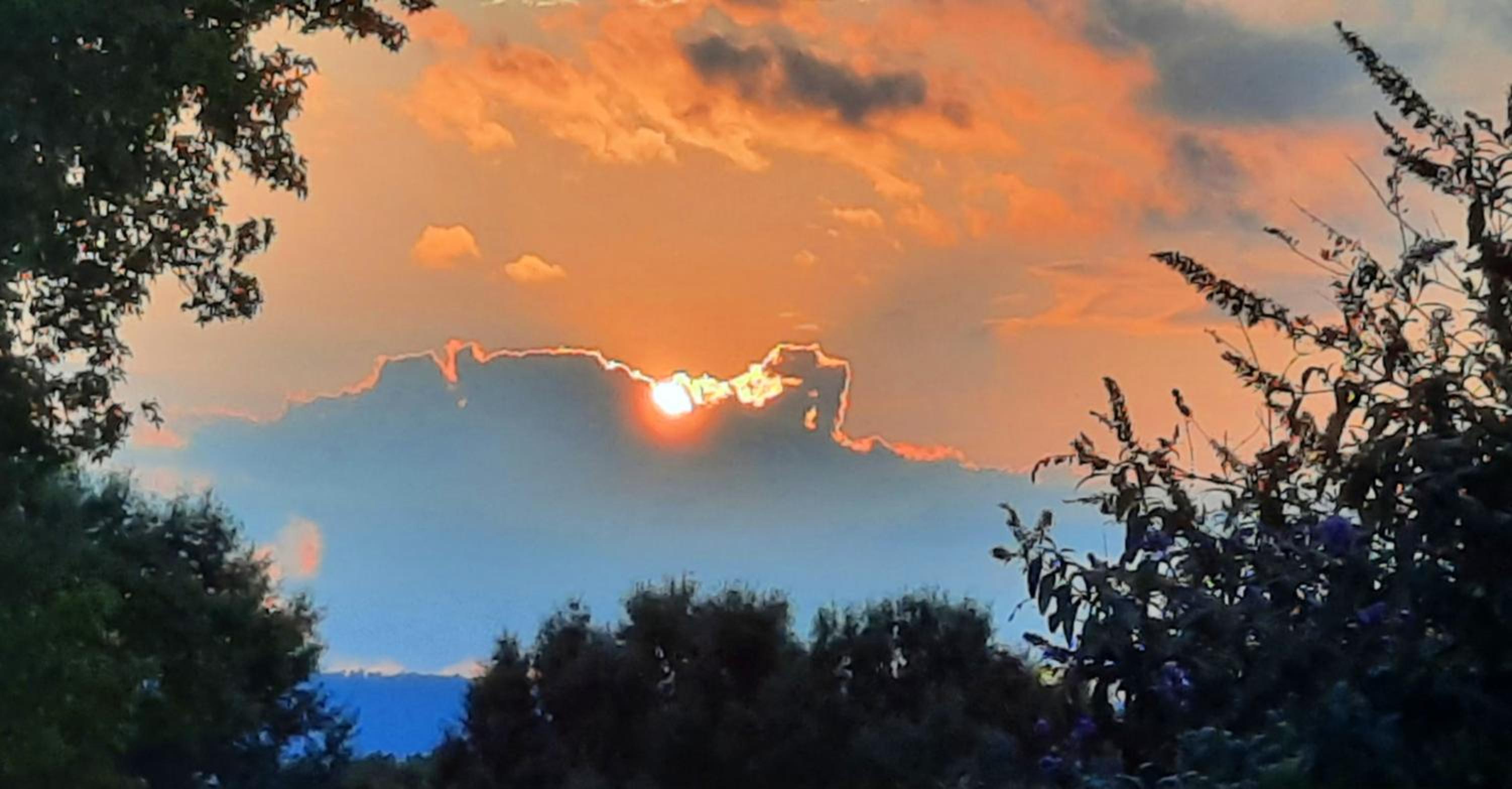 Villa Maud - Property Image 32