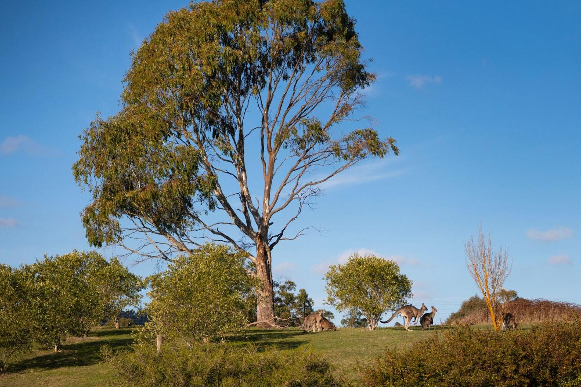 Loddon Retreat- picturesque country escape