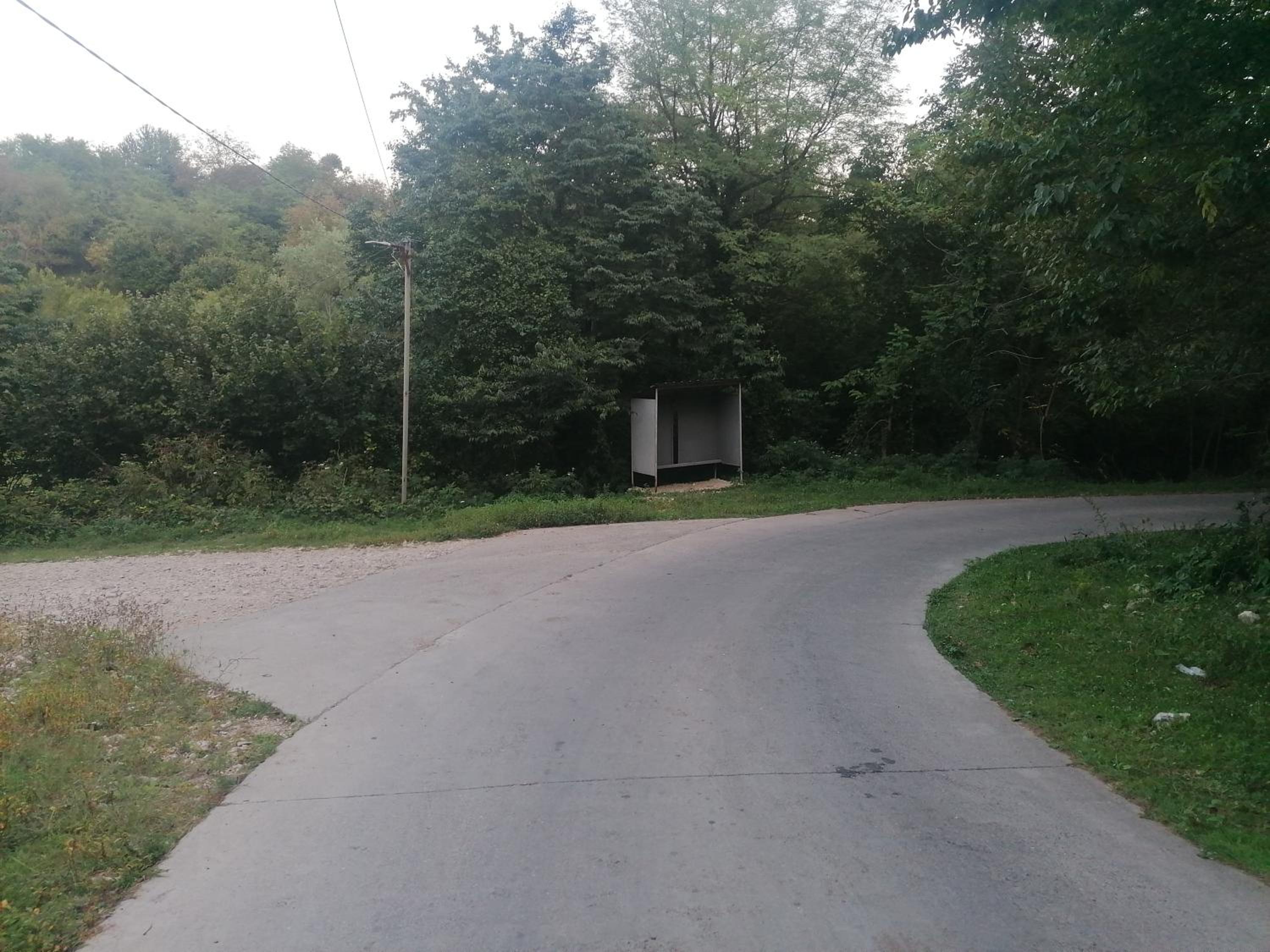 Photo 42