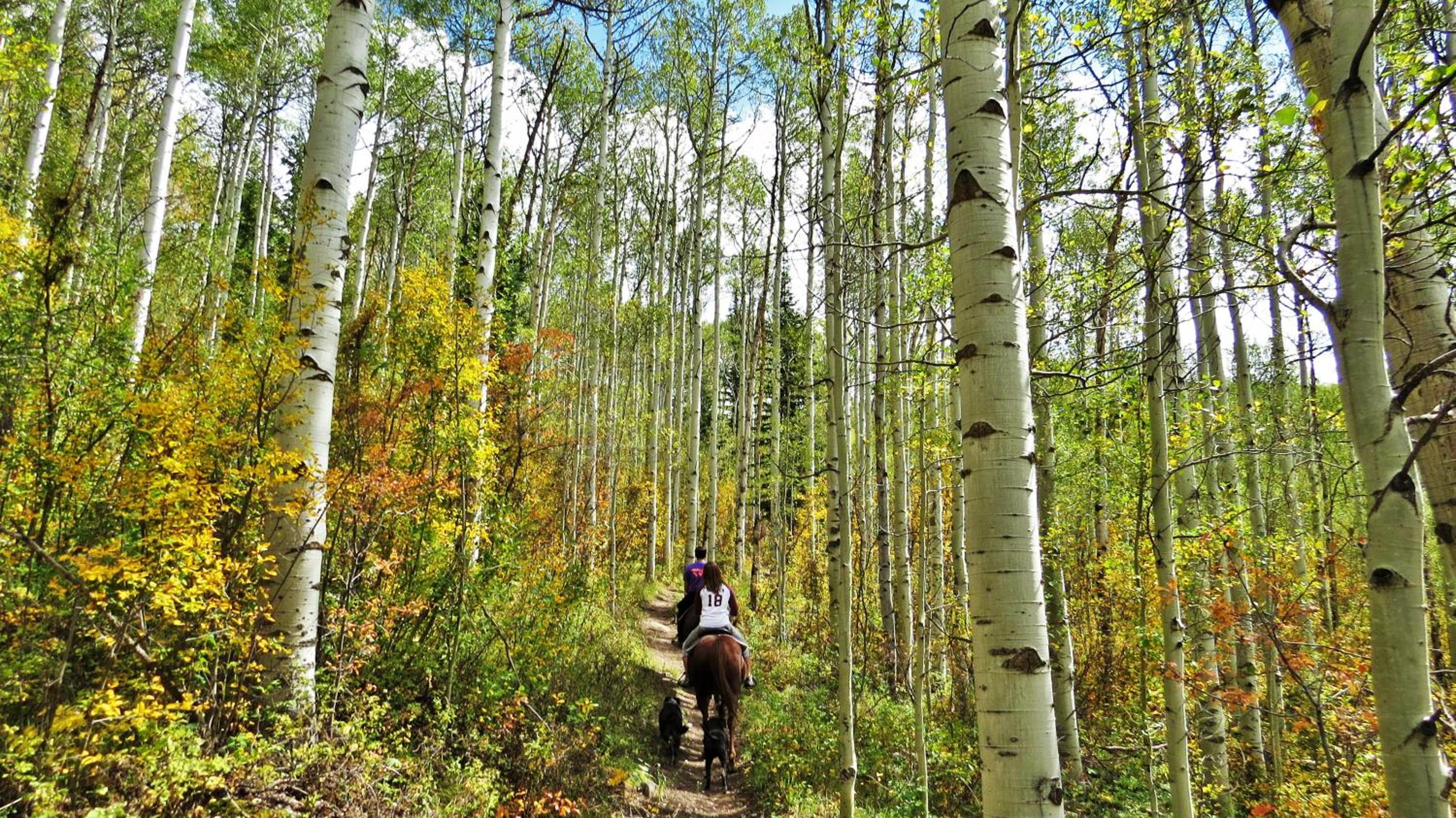 Teton Hostel HideAway