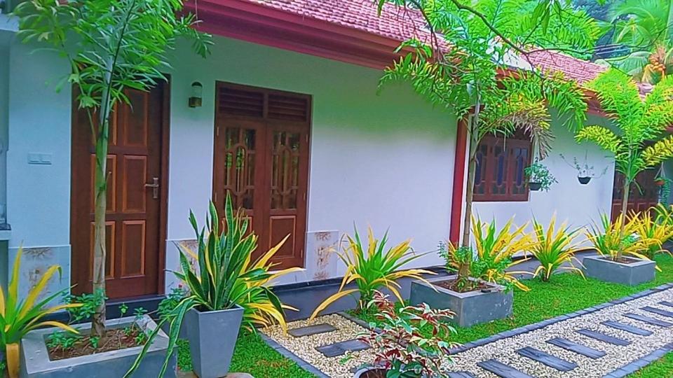 Photo 25