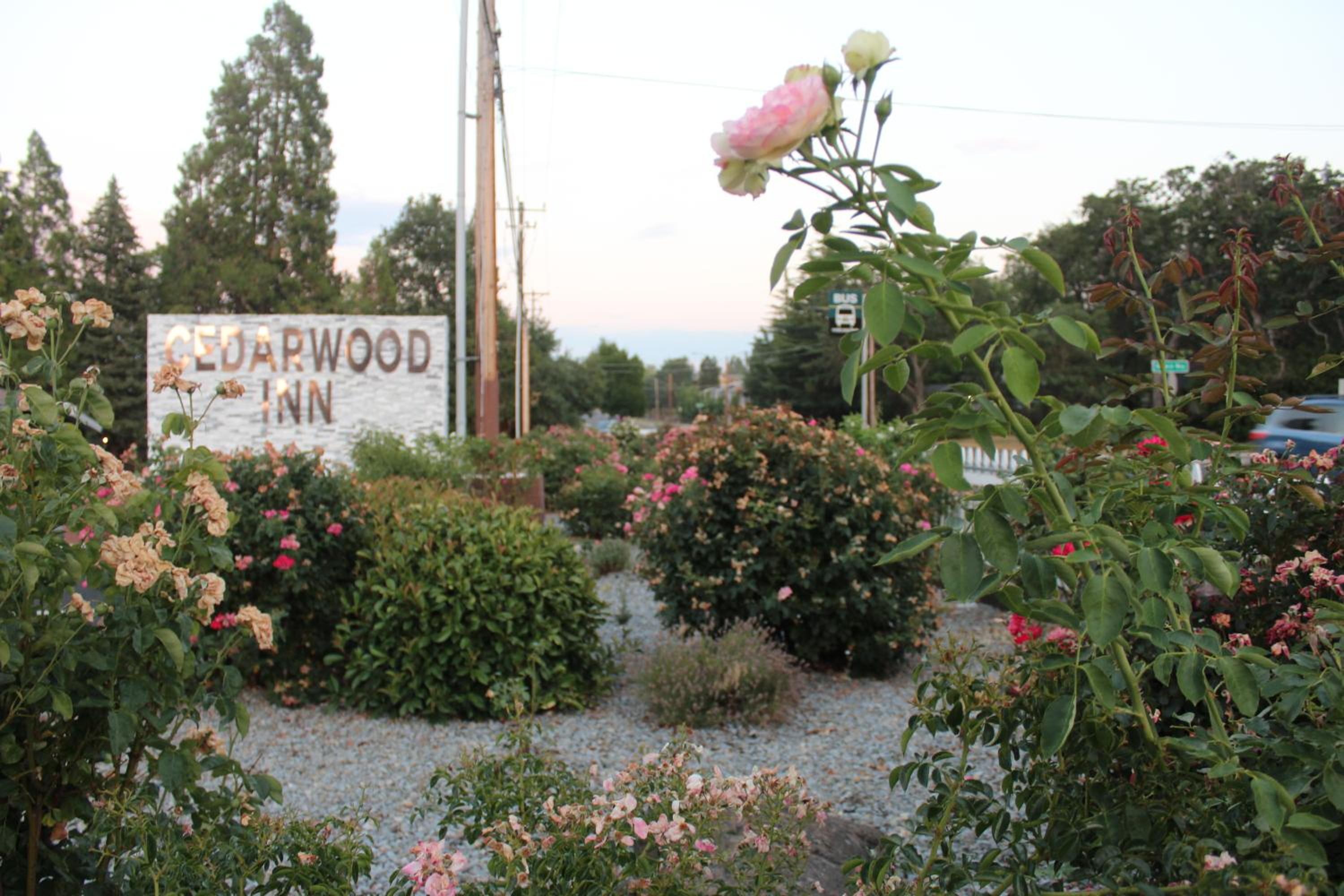Ashland Vacations - Cedarwood Inn of Ashland - Property Image 47