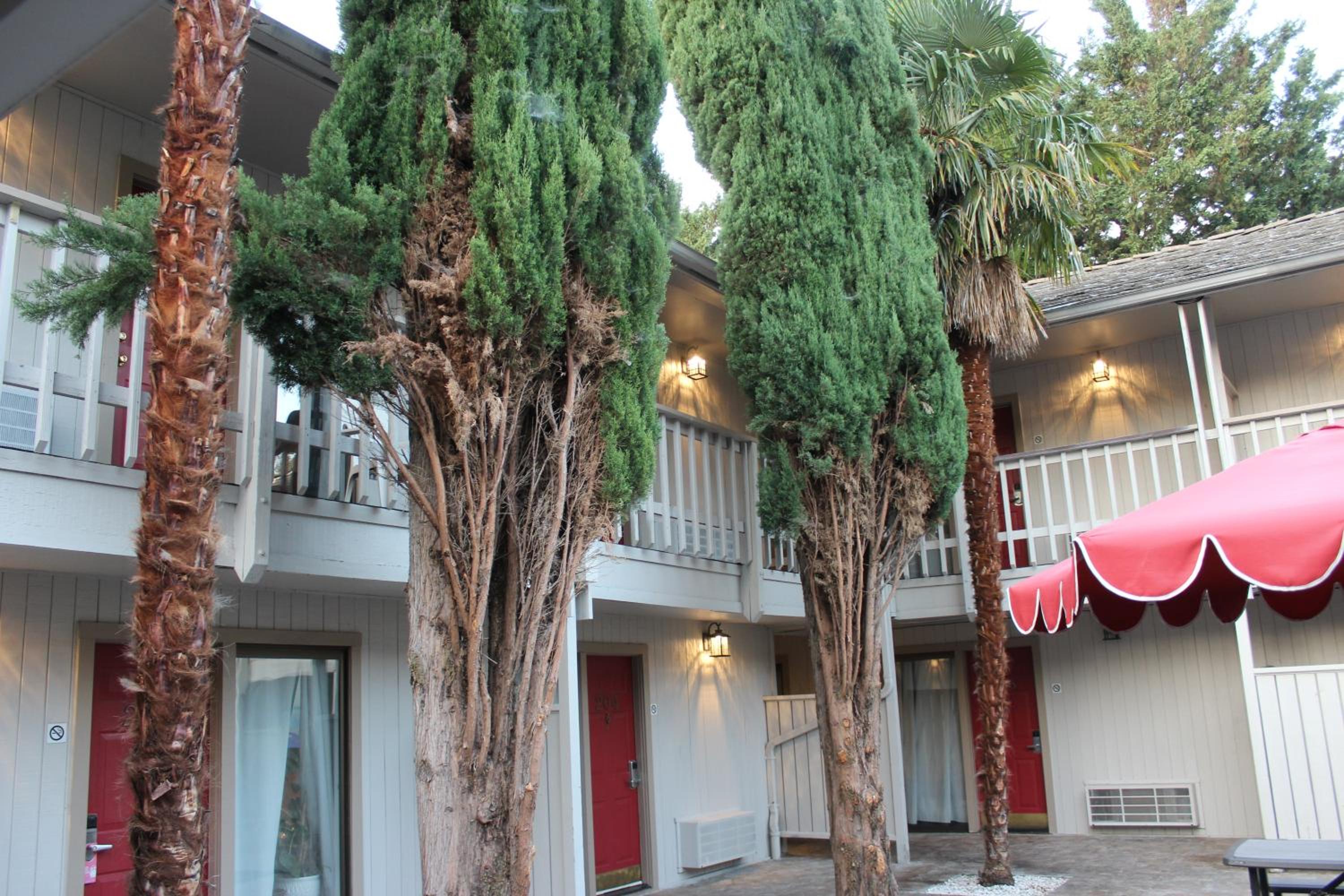 Ashland Vacations - Cedarwood Inn of Ashland - Property Image 141