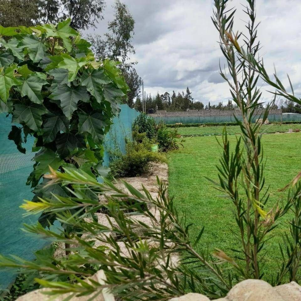 Paprika House Nanyuki