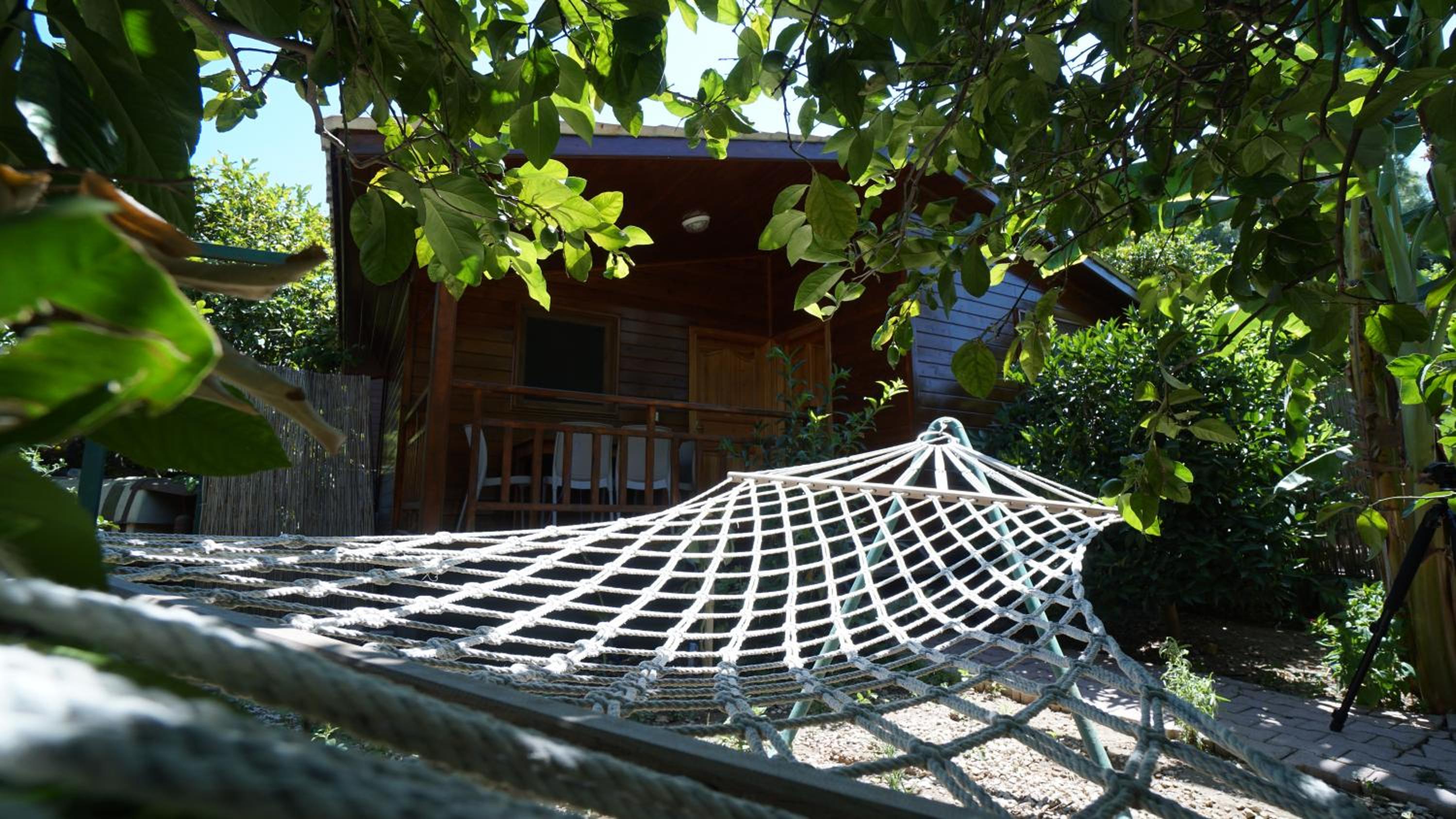 Lemon Garden Lodge