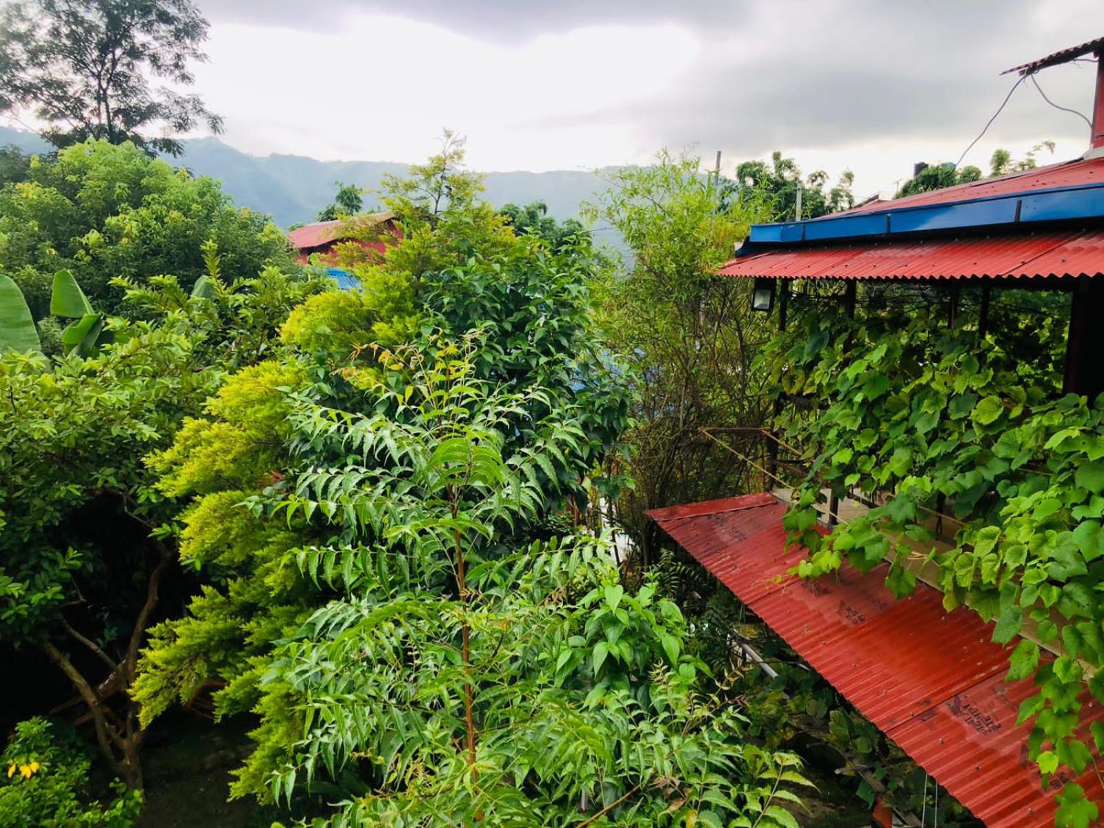Goodday Backpackers view 4