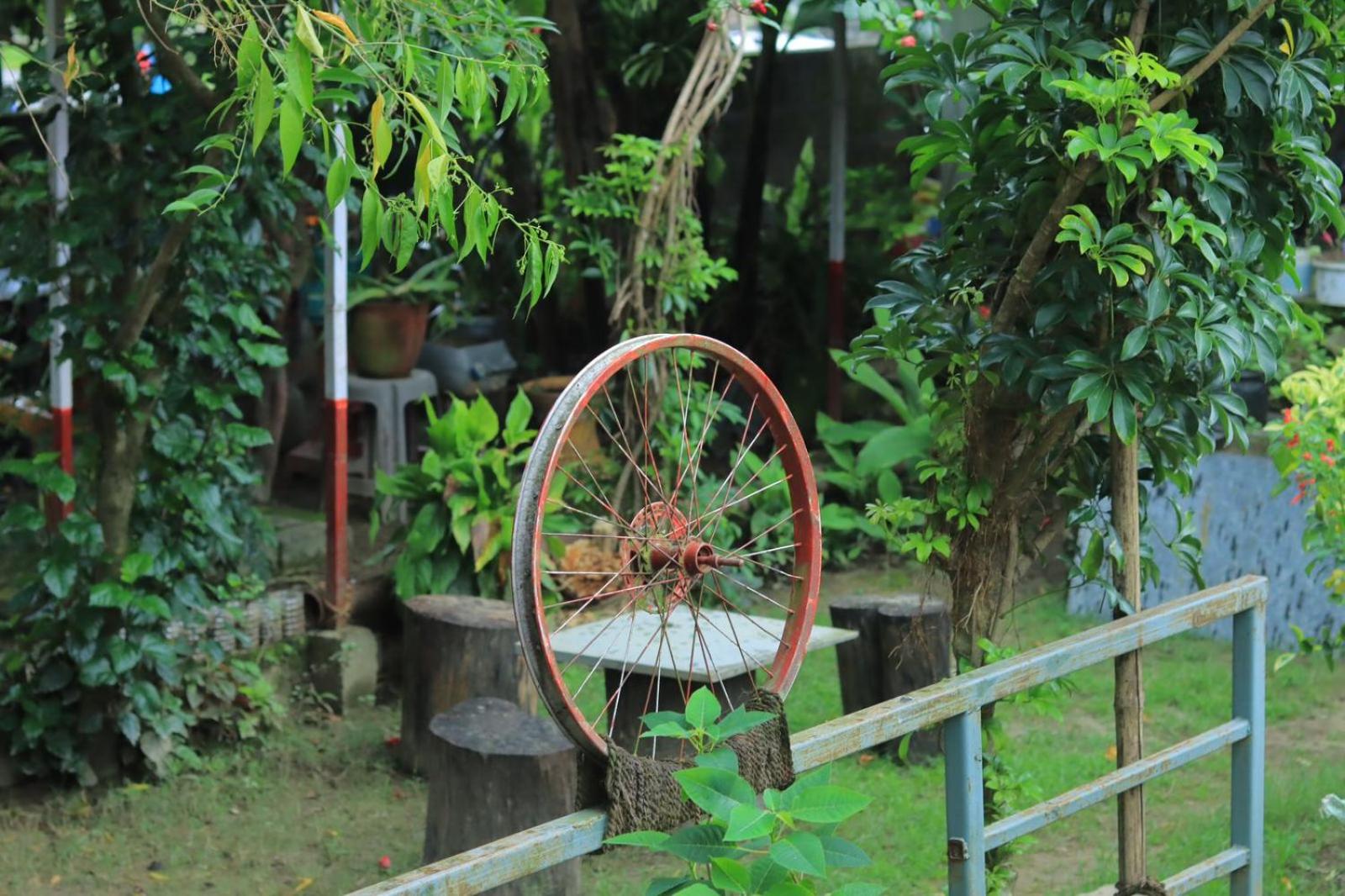Photo 15