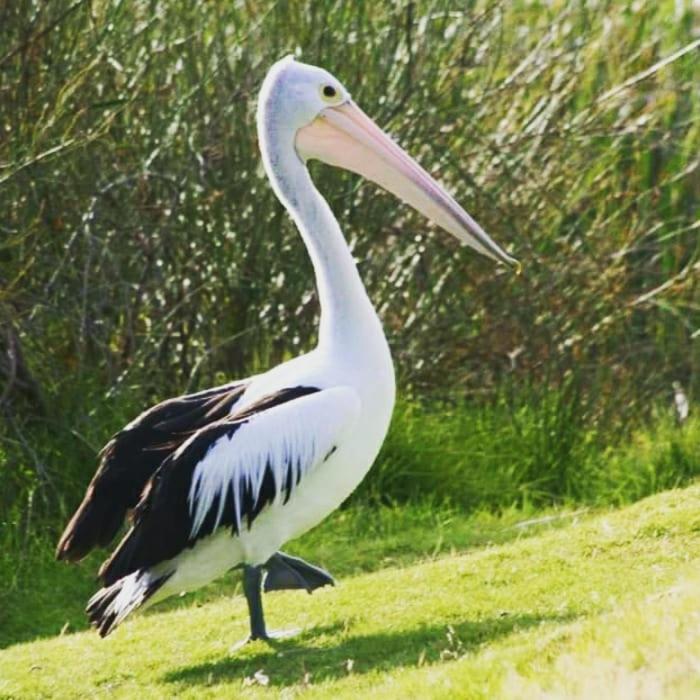 Clayton Bay Riverside Holiday Park