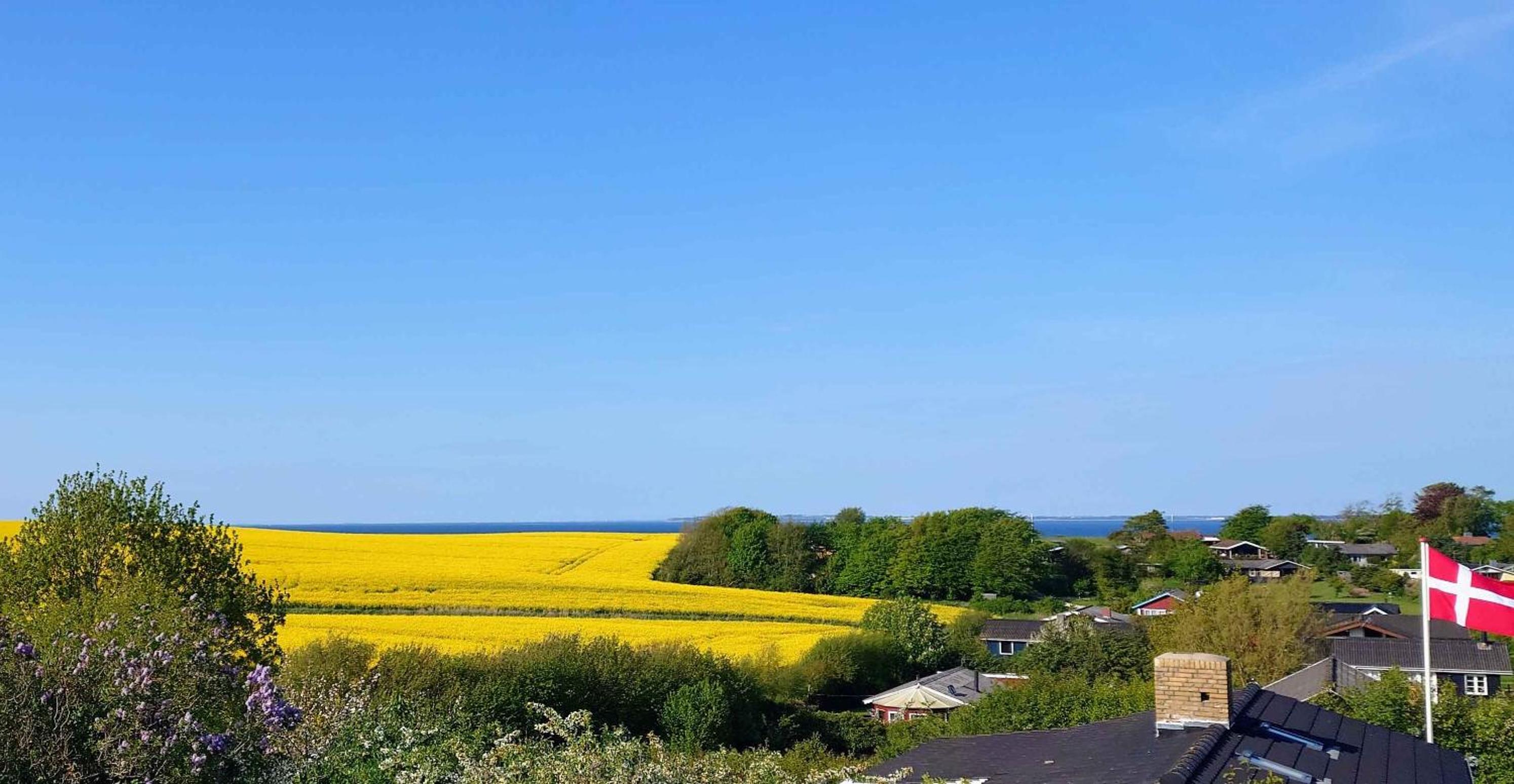 Cottage With A View
