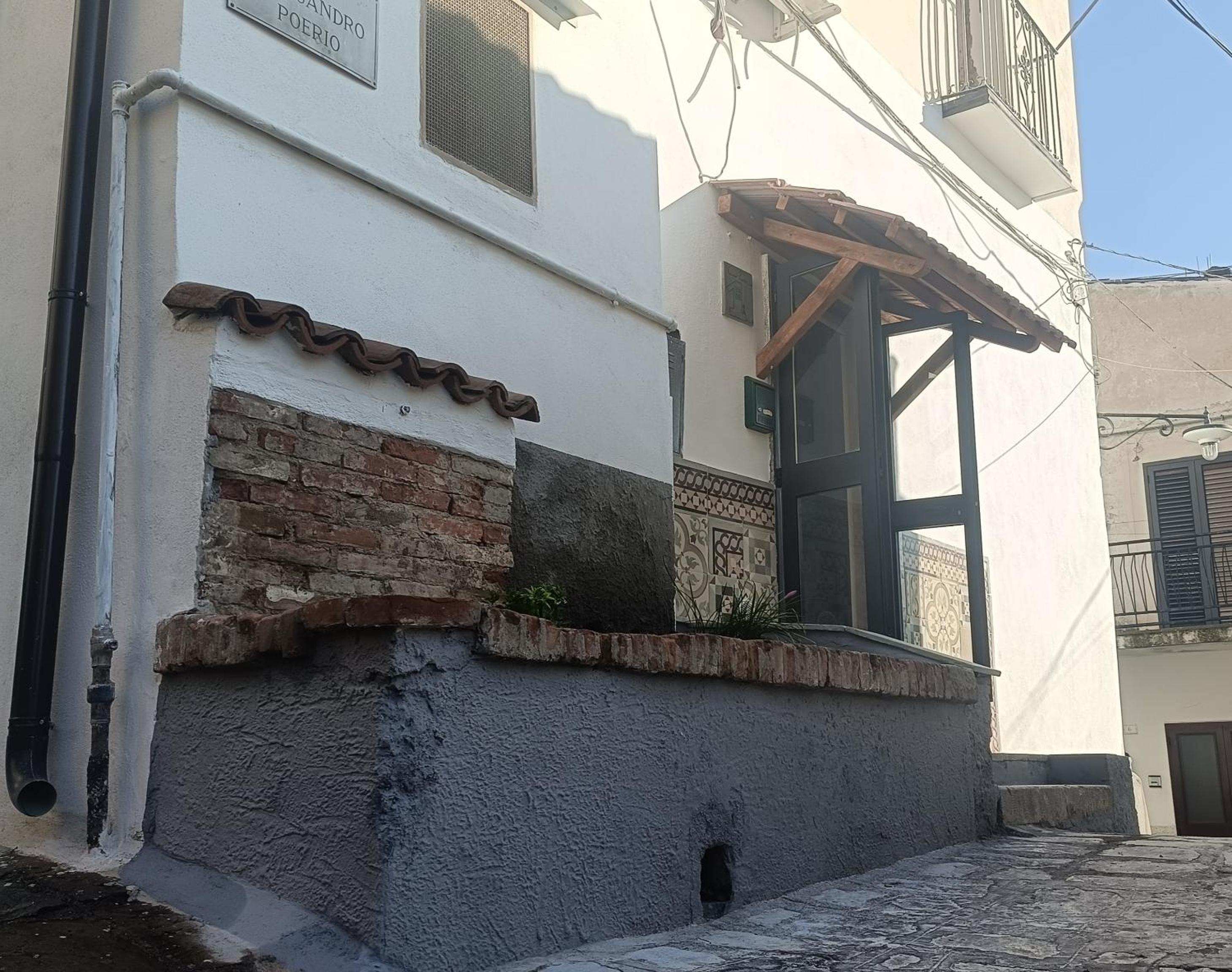 Photo 11
