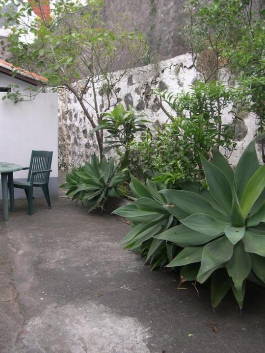 Photo 35