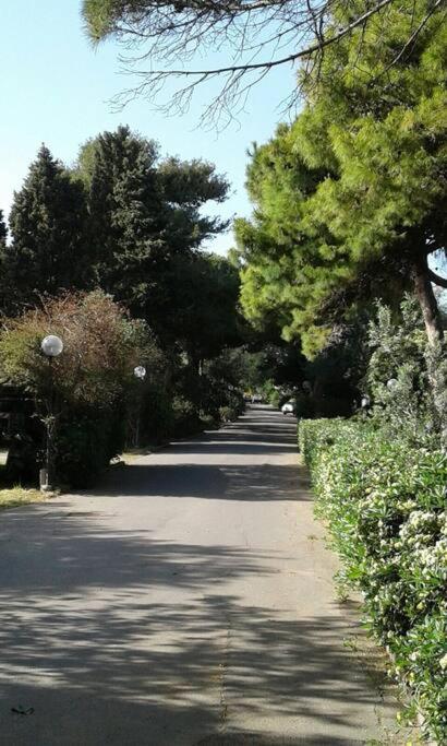 Rosi Sweet Home view 2
