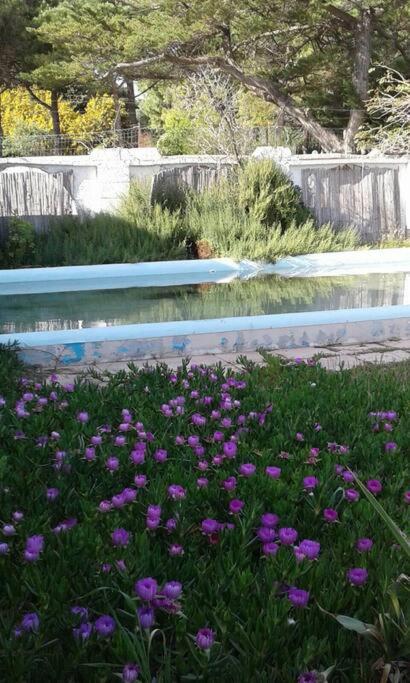 Rosi Sweet Home view 3