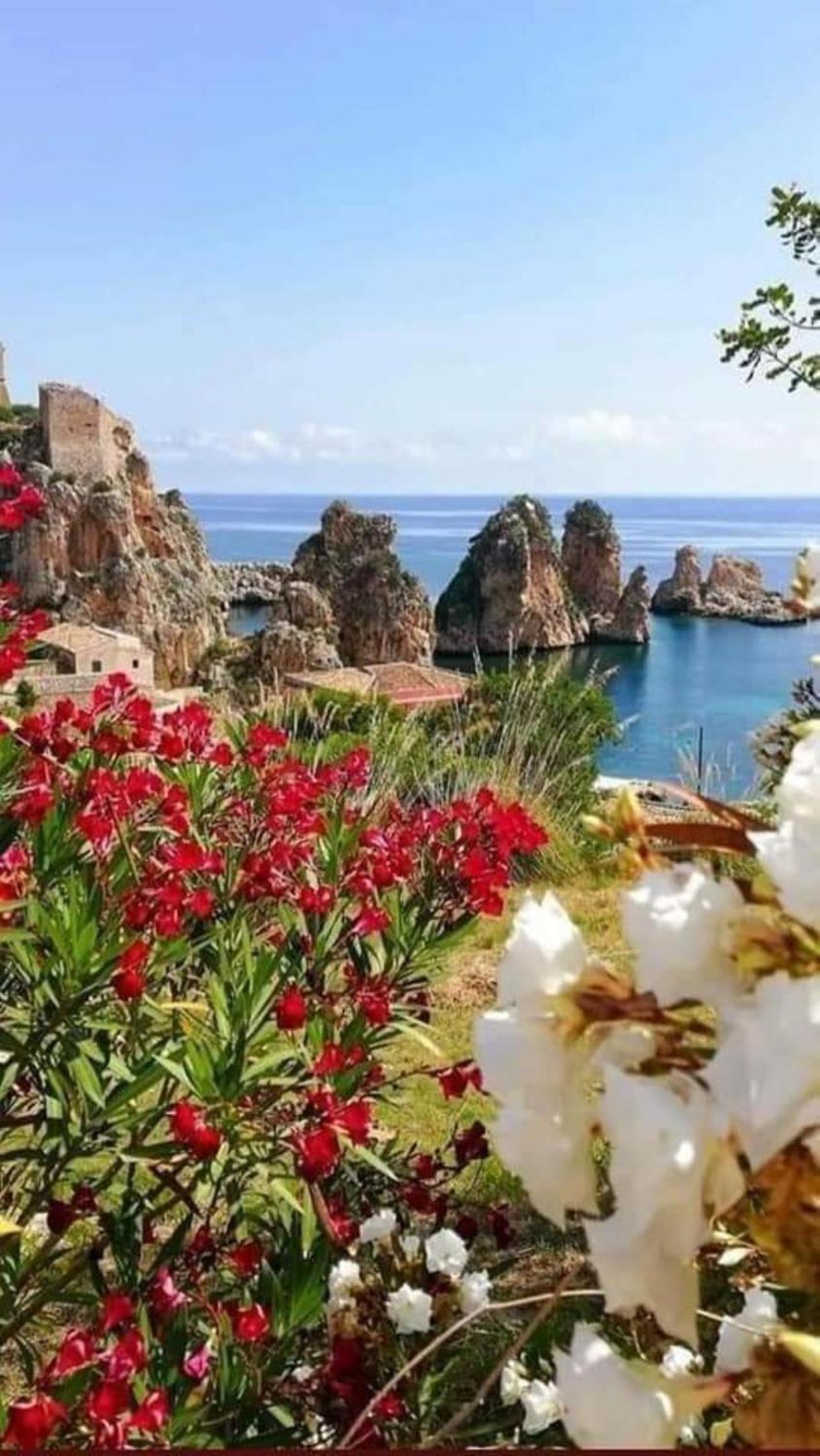 Oikos Design Sicily view 2