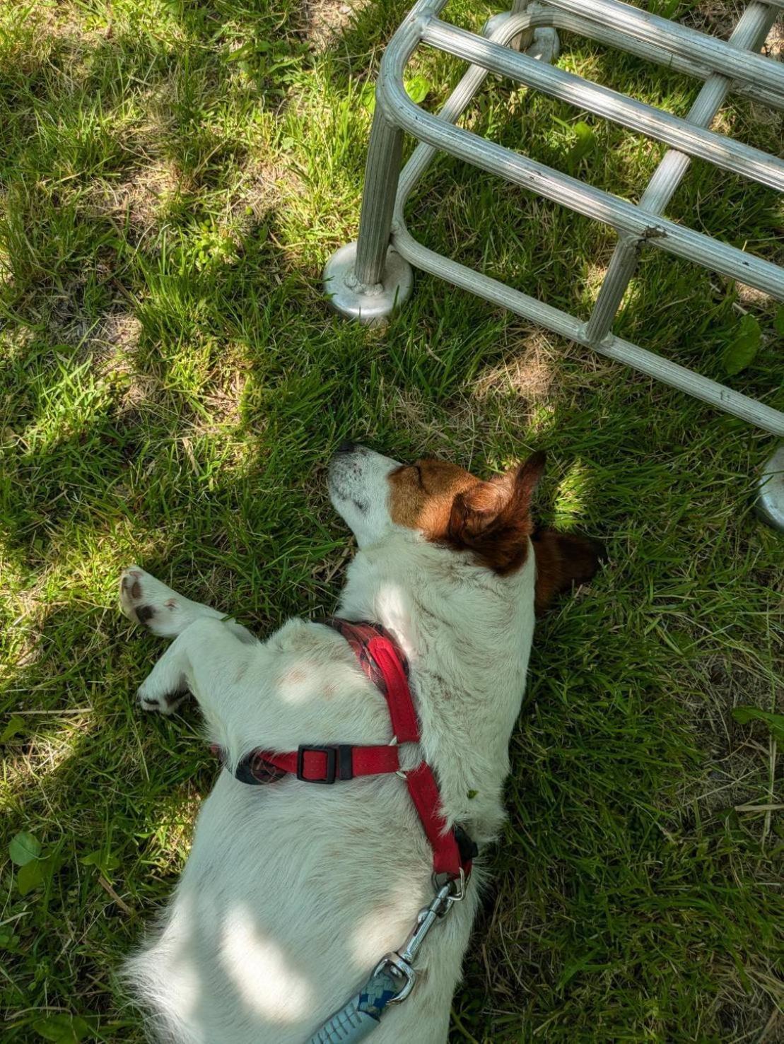 Photo 21