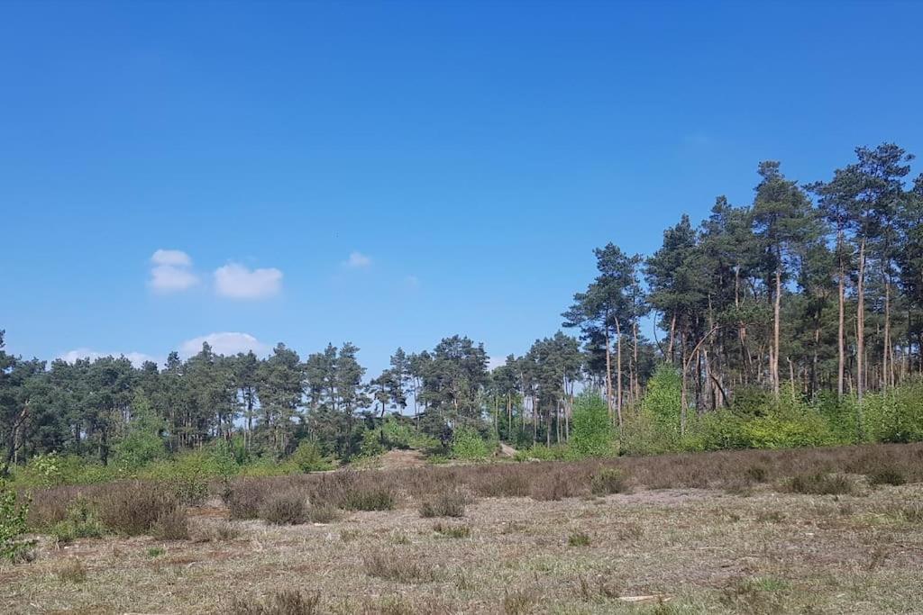Forest Cottage Hattem