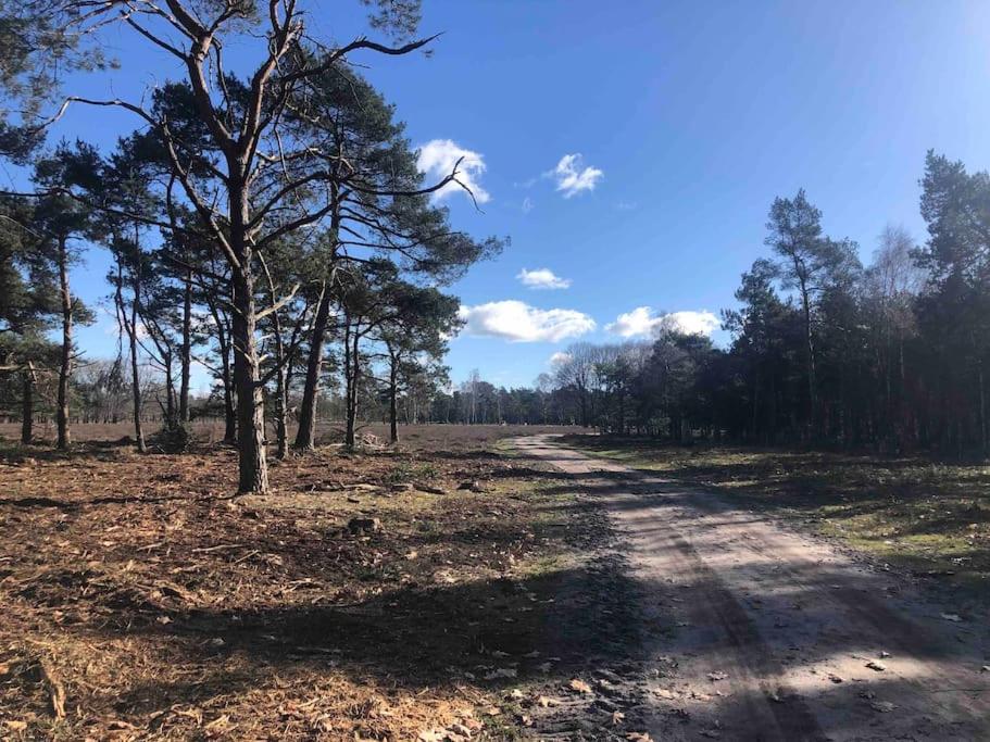 Forest Cottage Hattem