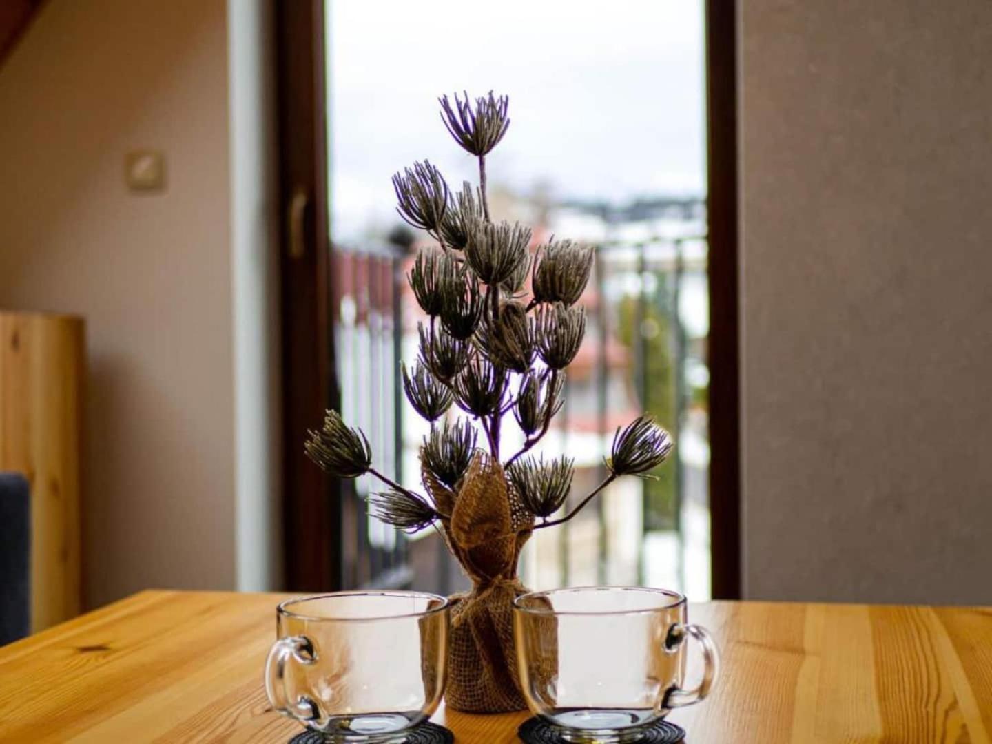 Villa Taternik - 3 Bedrooms Apartment - Mountain View