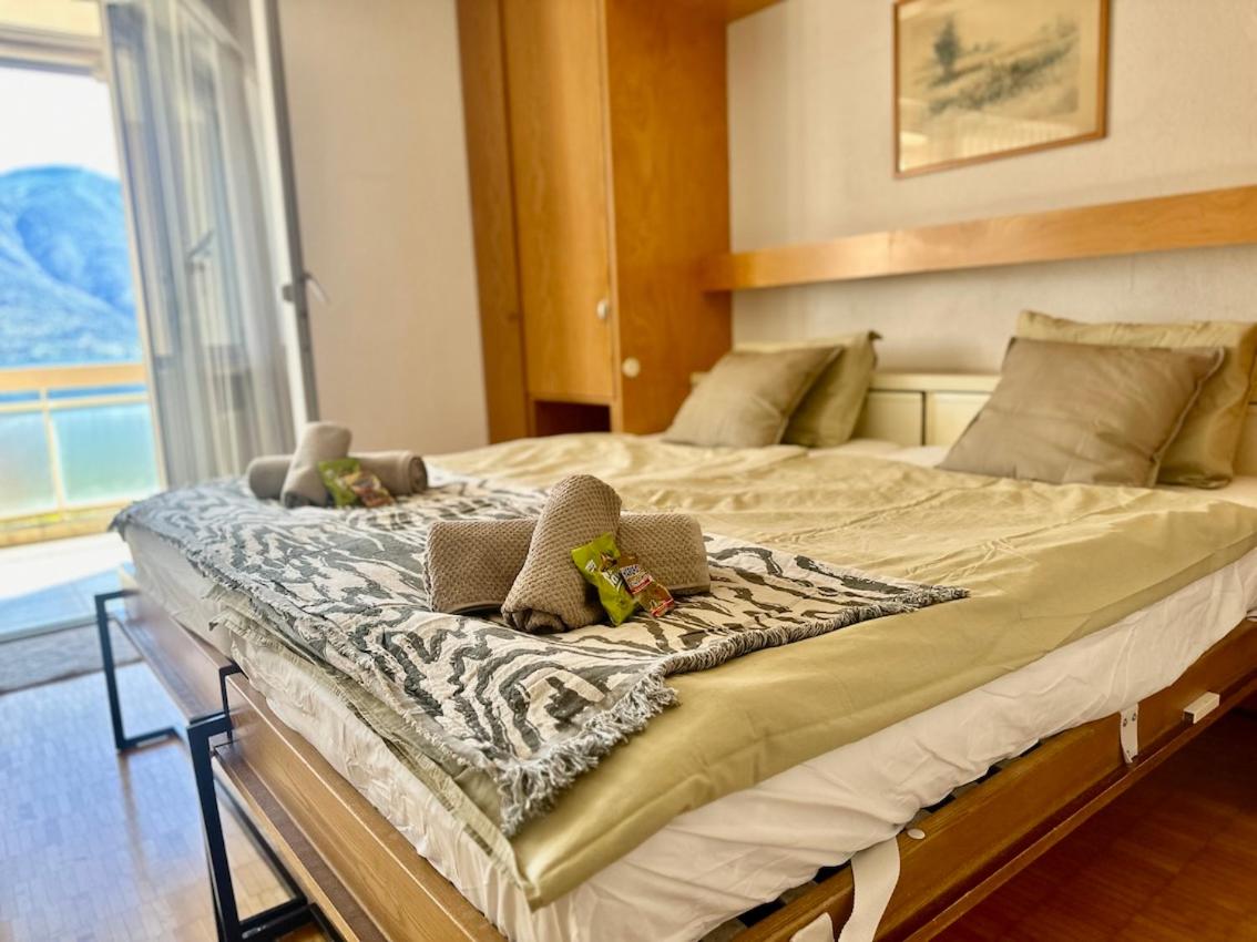 casabono19