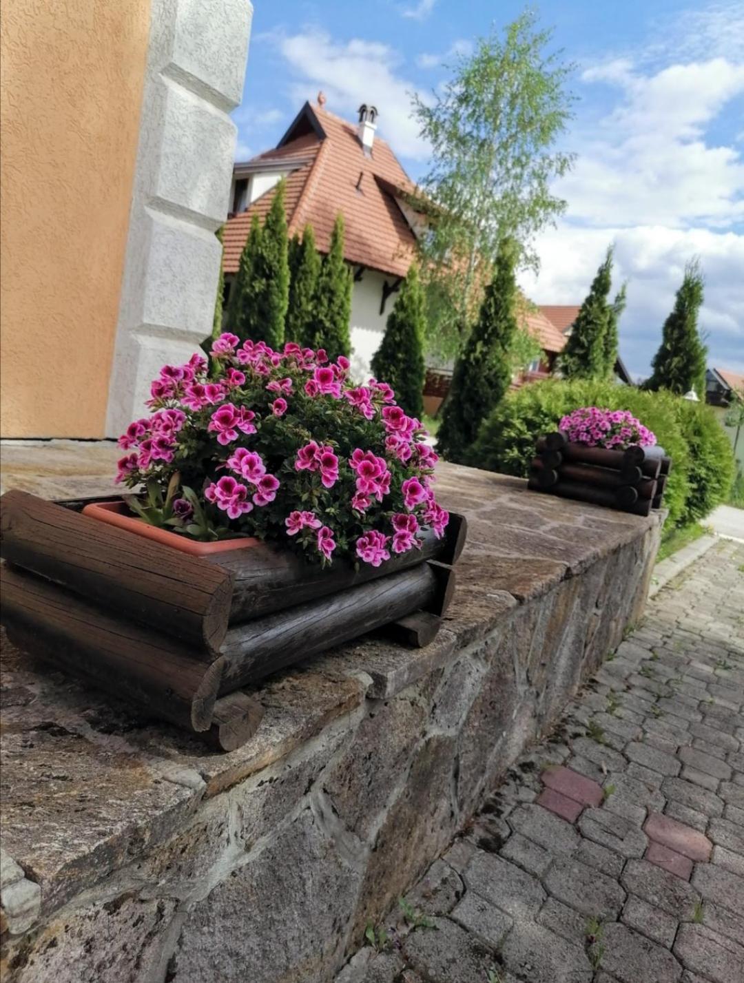 Apartman Pahulja
