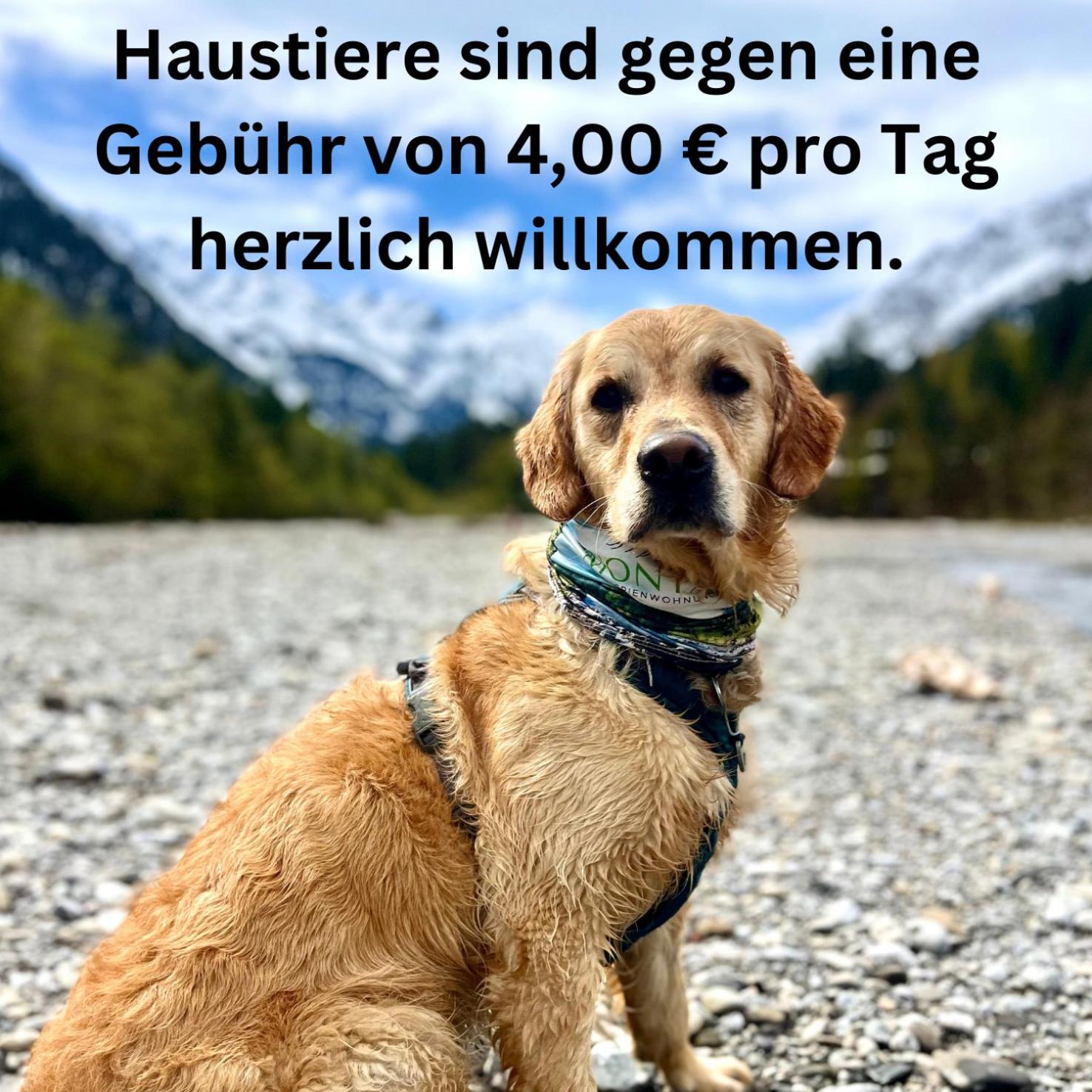 Alpenfieber