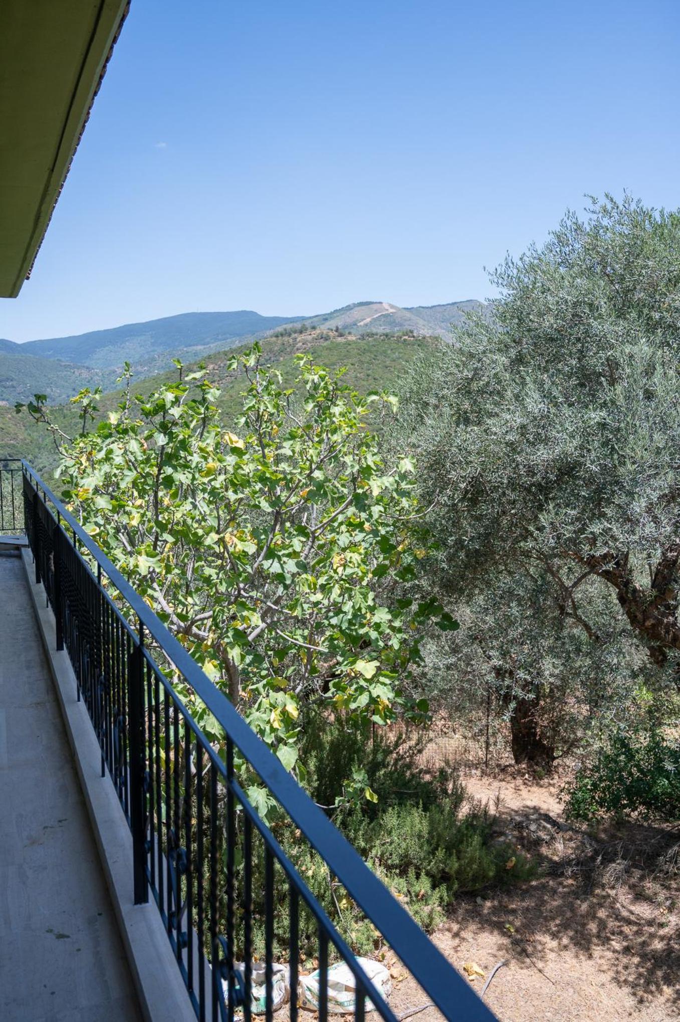 Endless Green, Hidden Gem in the Mountains