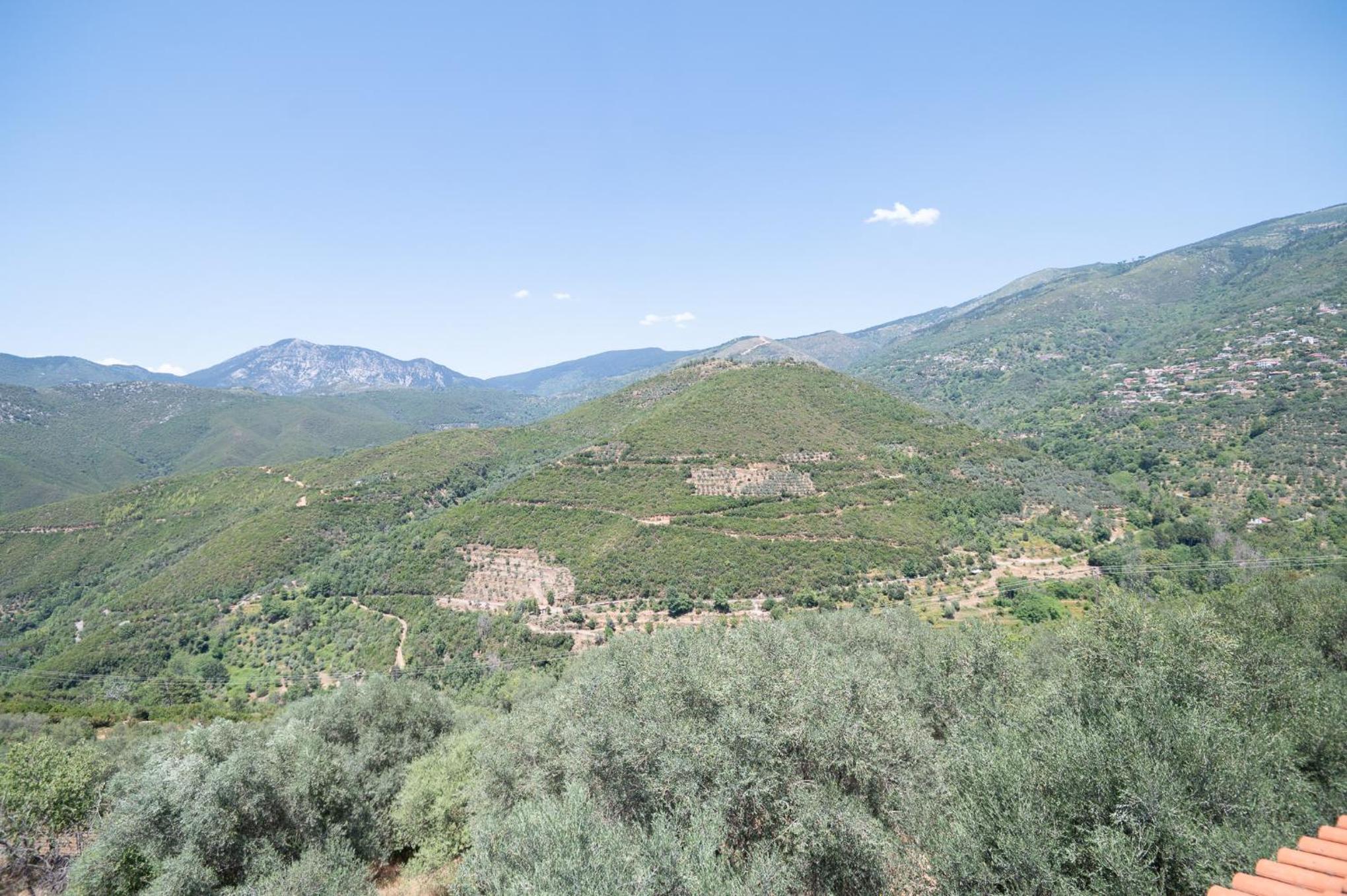 Endless Green, Hidden Gem in the Mountains