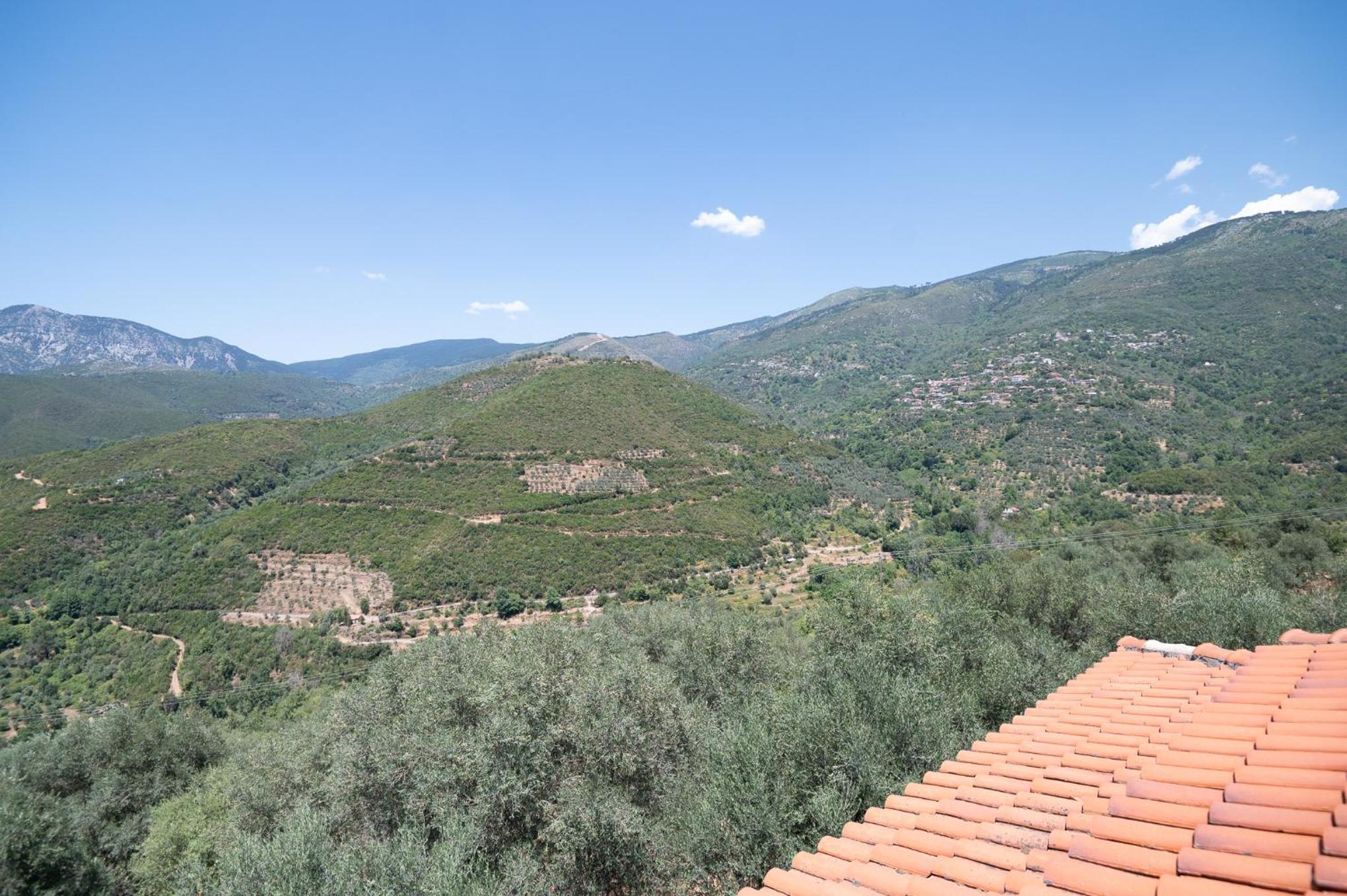 Endless Green, Hidden Gem in the Mountains