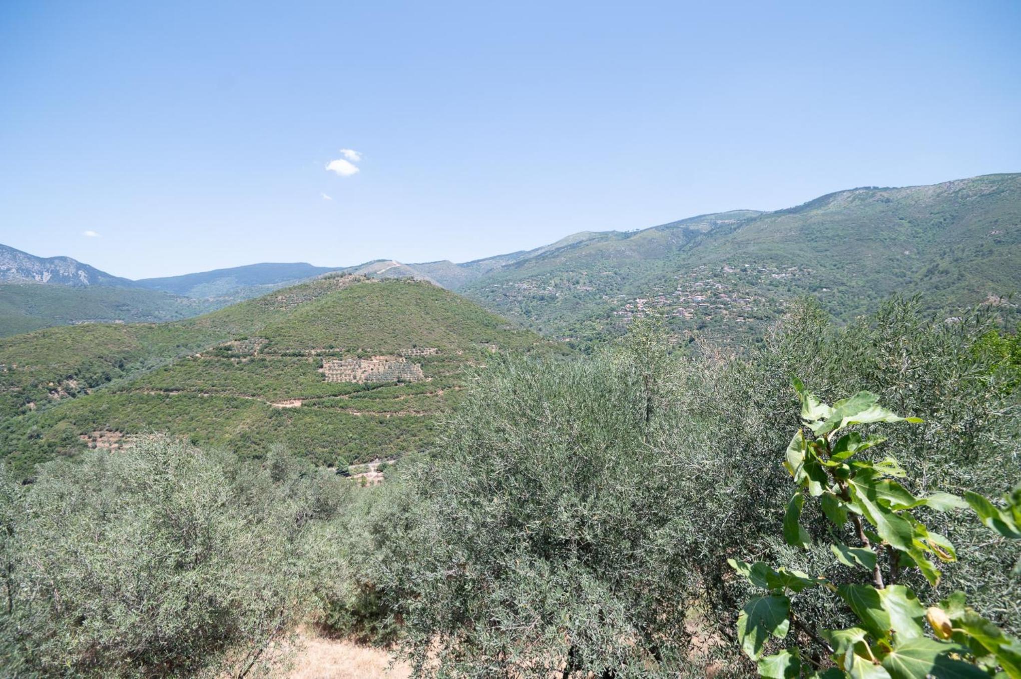 Endless Green, Hidden Gem in the Mountains