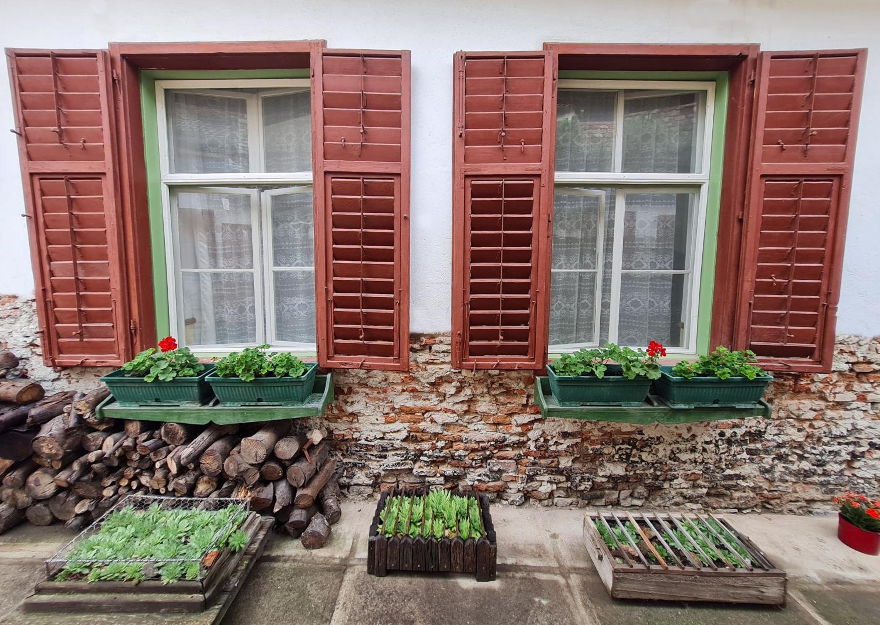 ''Casa Mia'' Camera Verde view 3