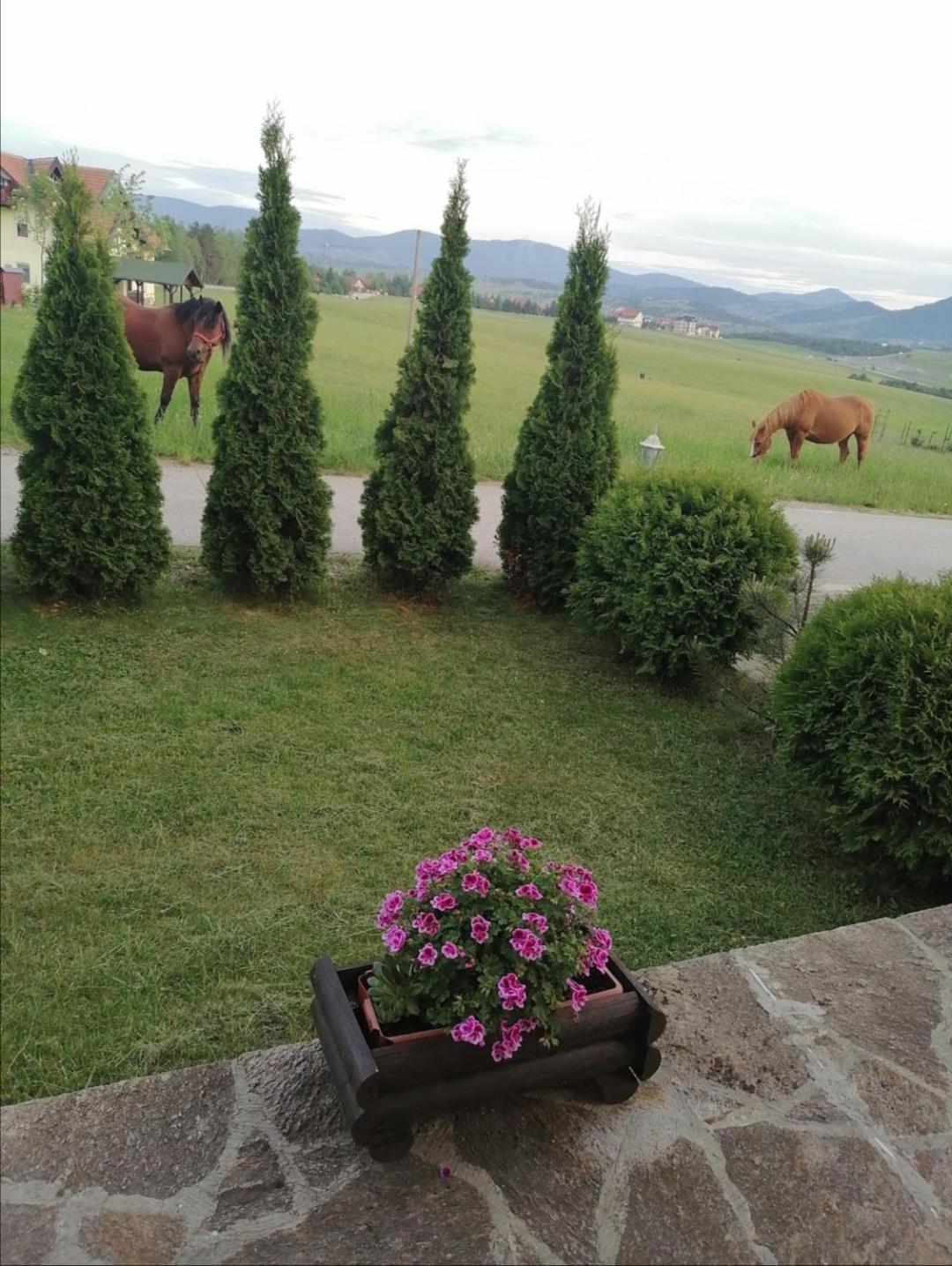Apartman Pahulja