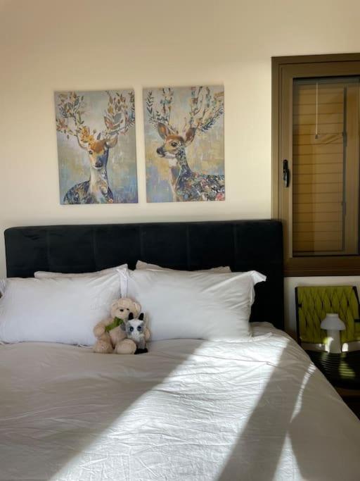 Villa Olive