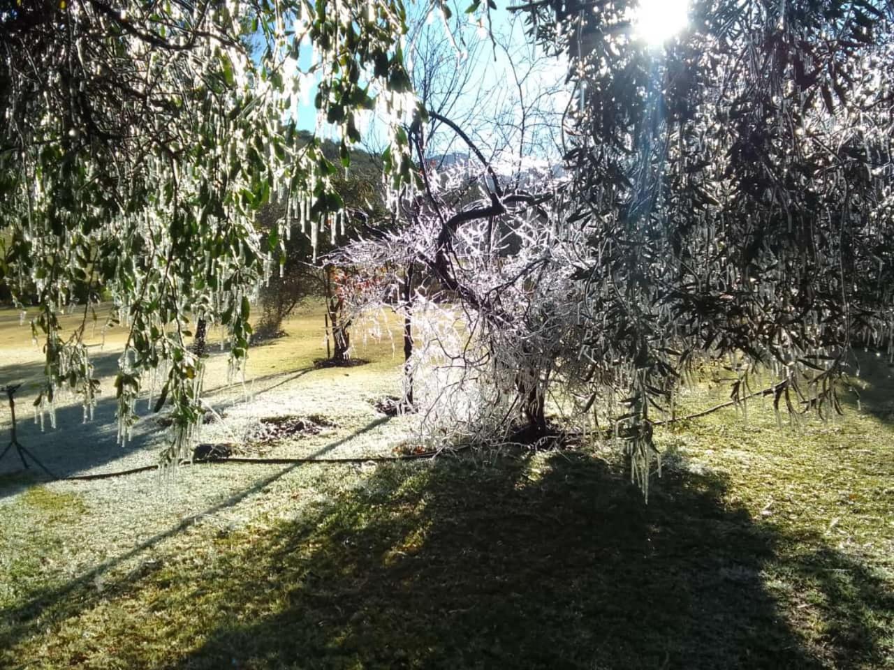 De Cango Farm view 5