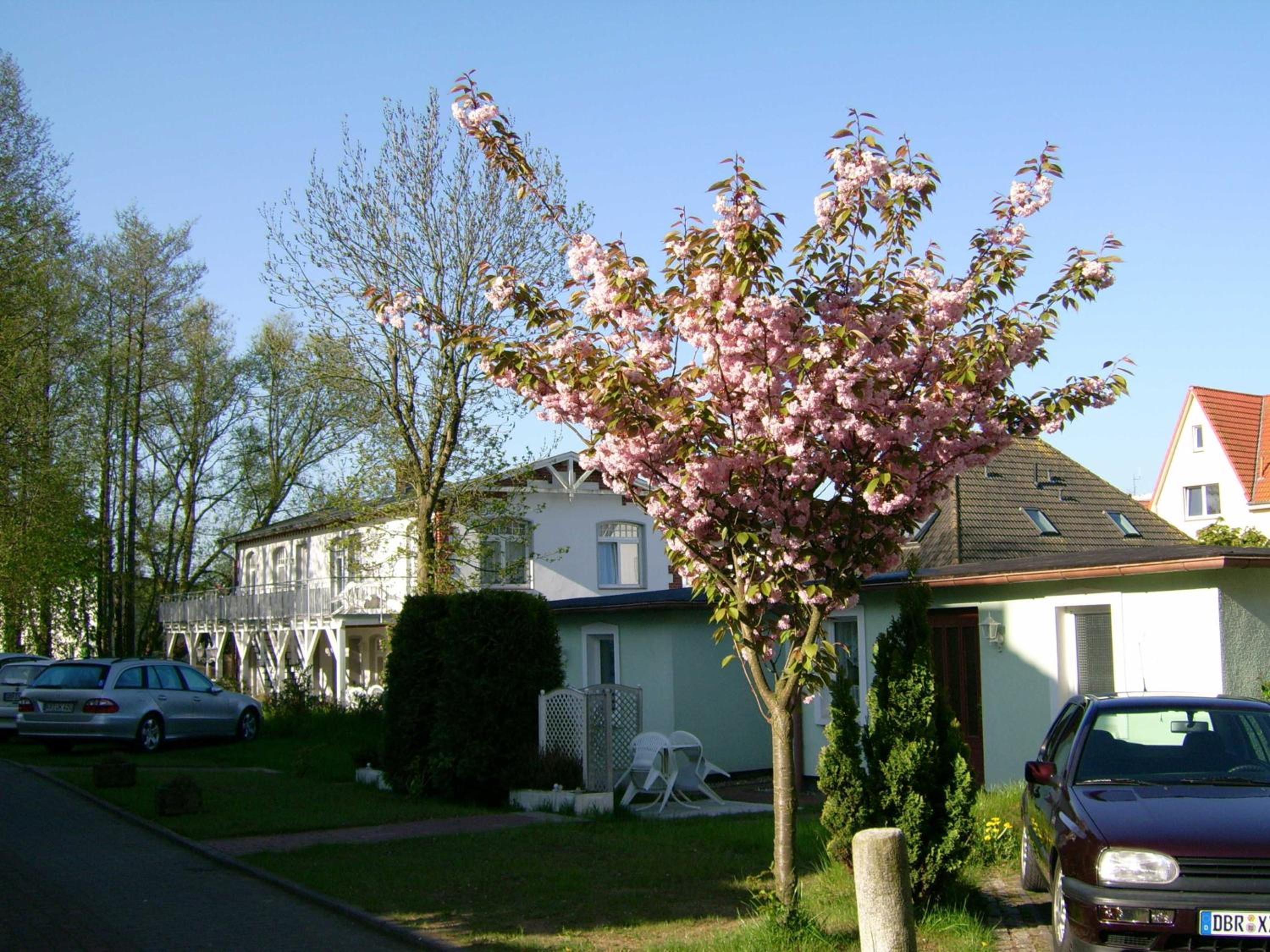 Fewo Rosenhof TW Queen