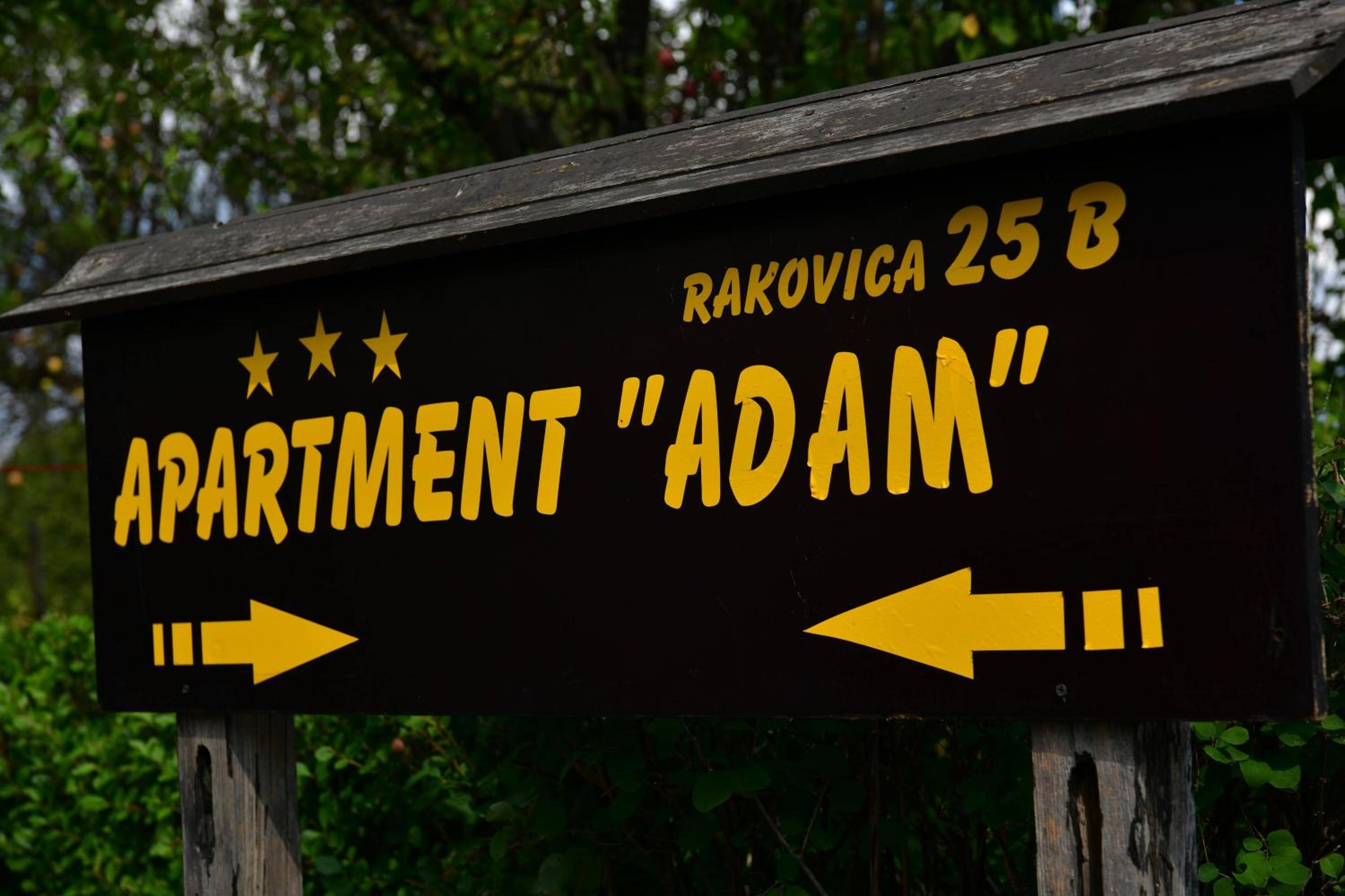 Apartment ADAM