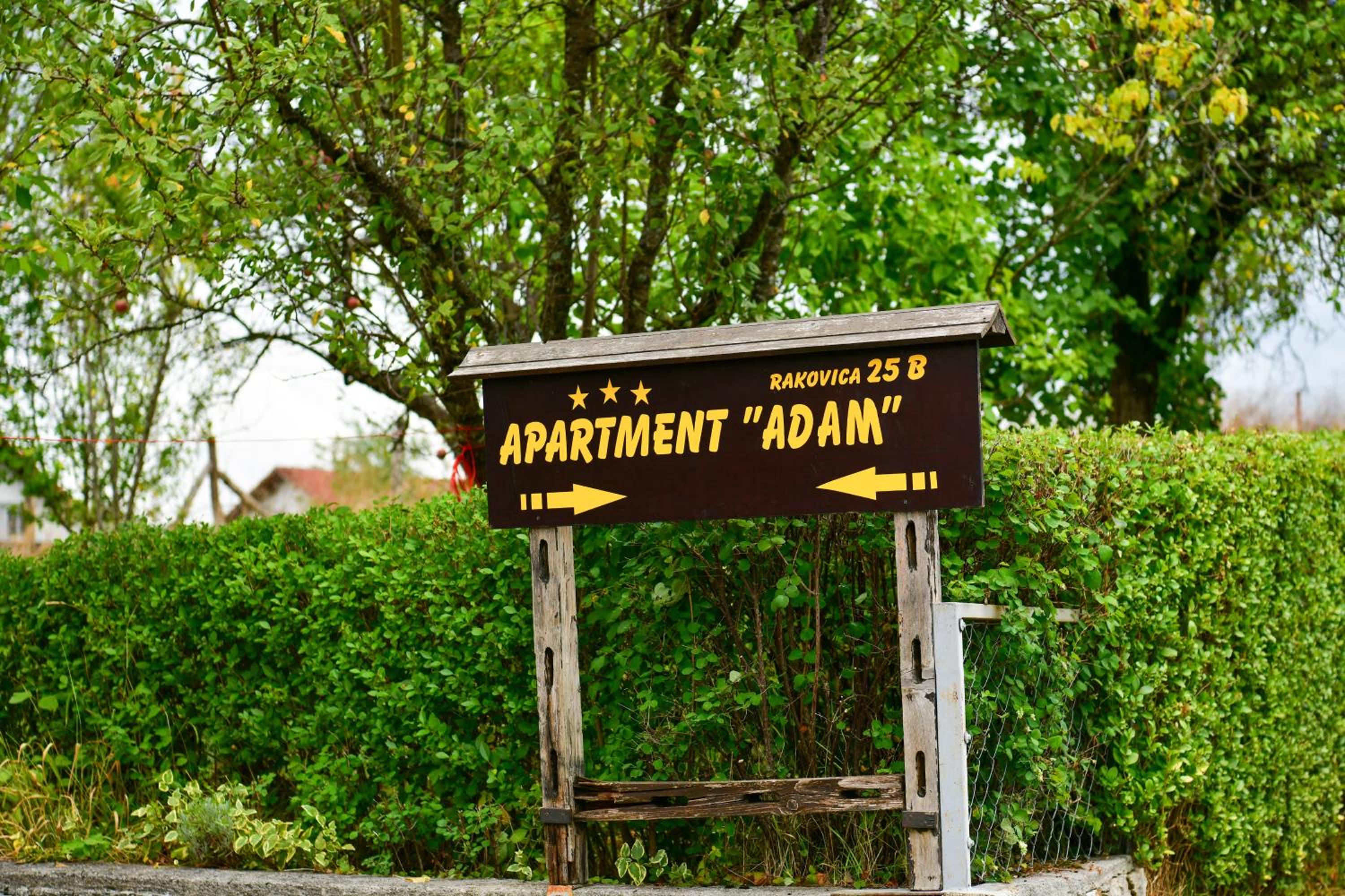 Apartment ADAM