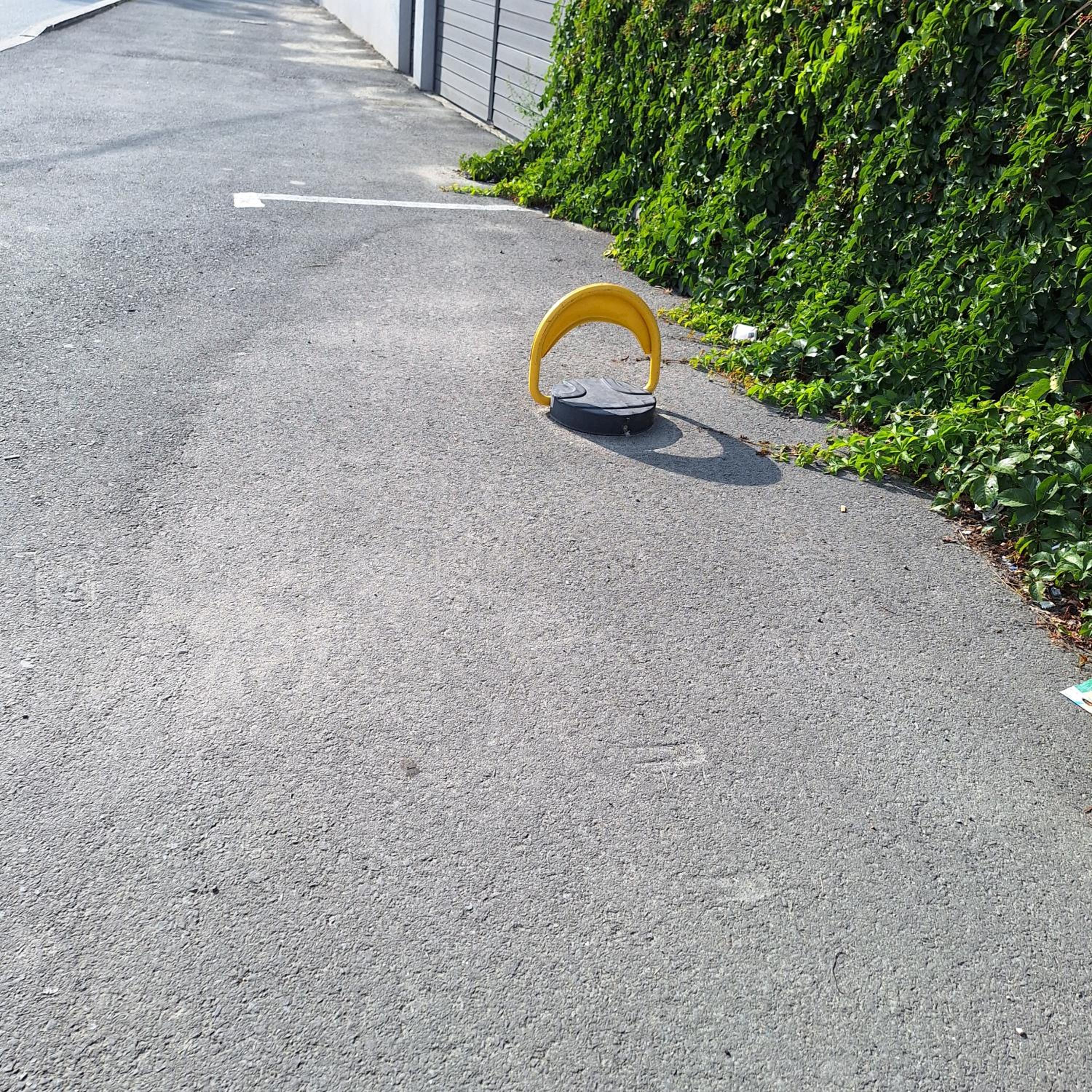 Photo 21