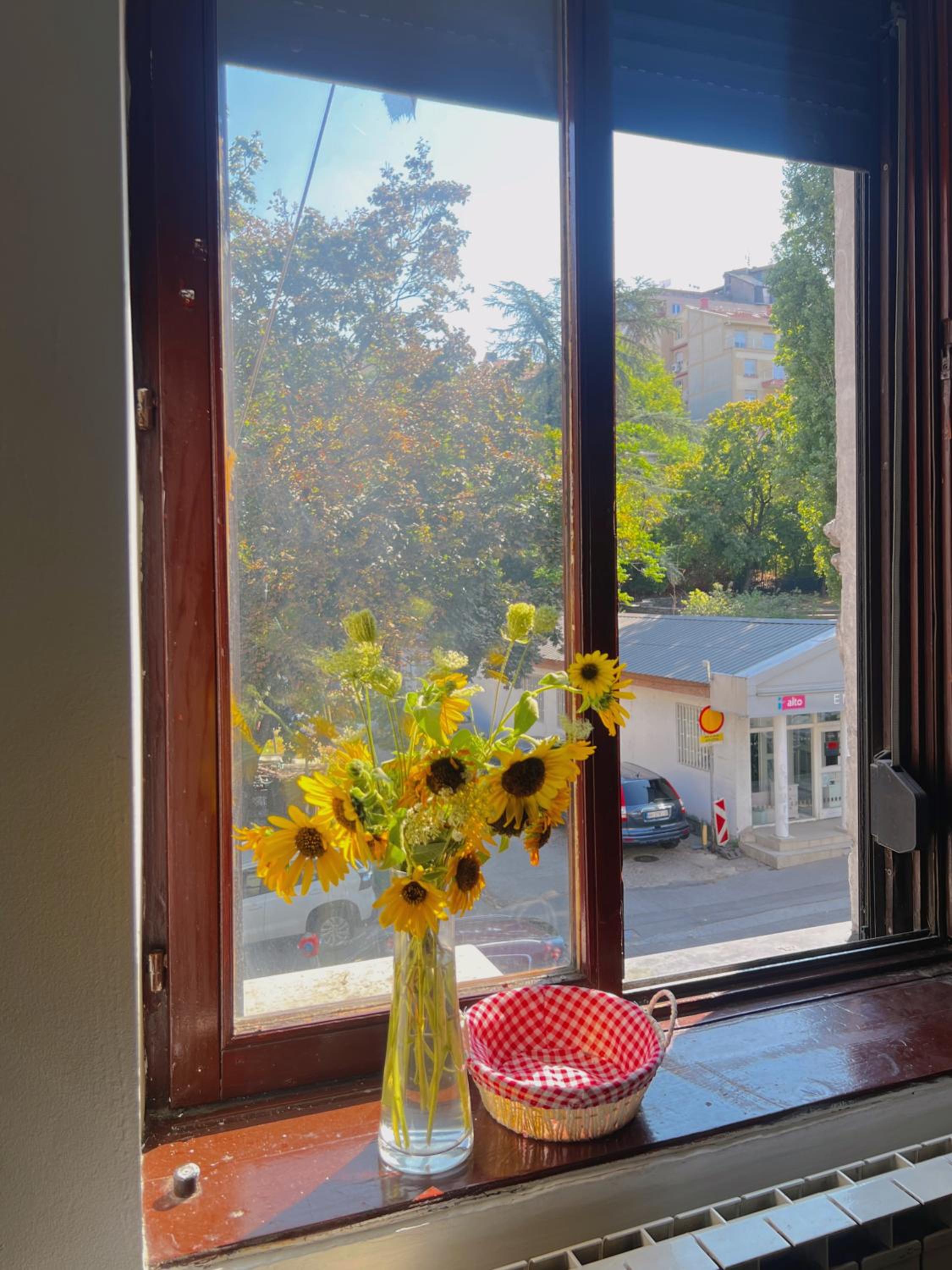 Happy Cat Old Town Hostel view 4