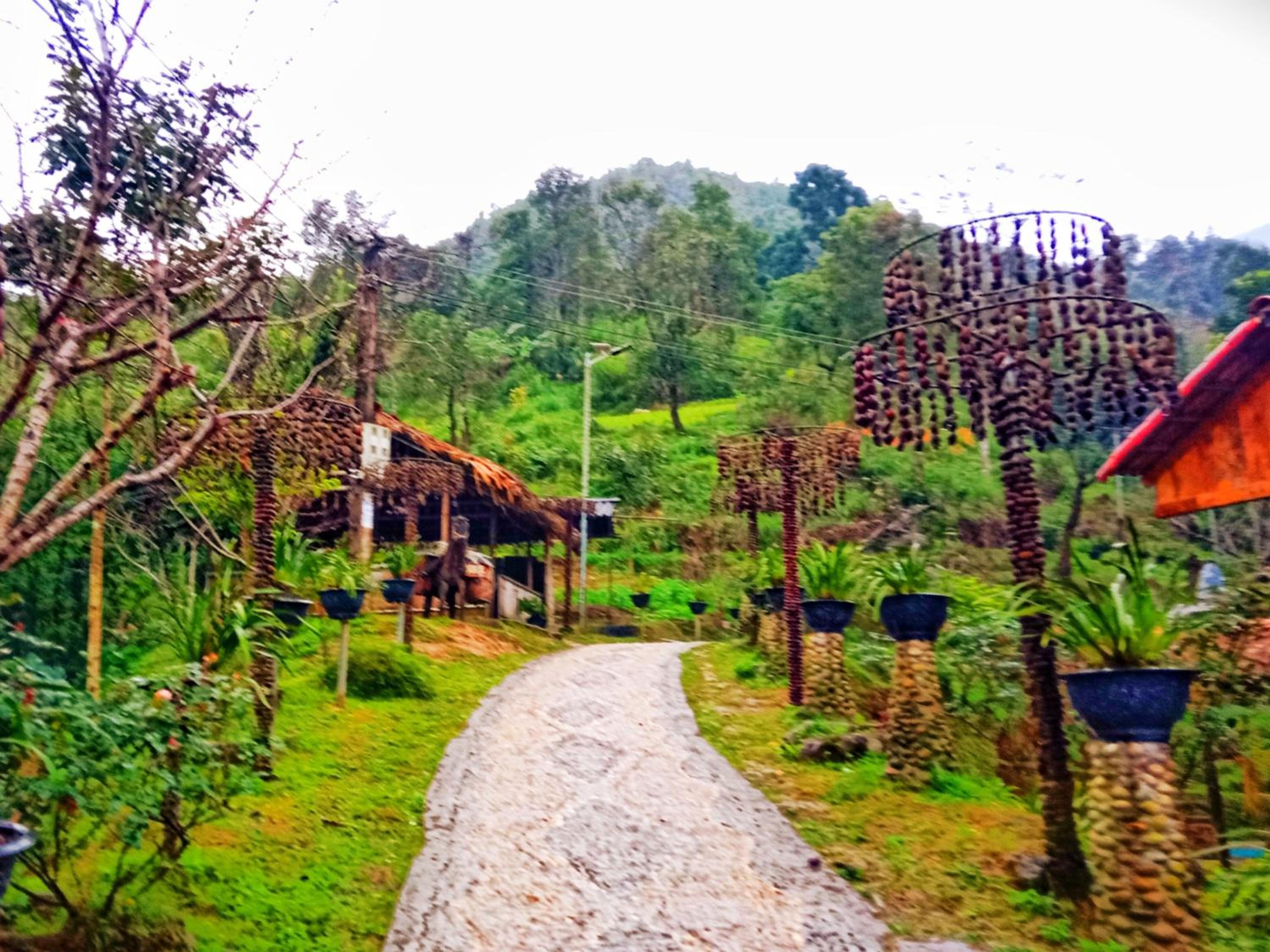 A Páo Homestay view 4